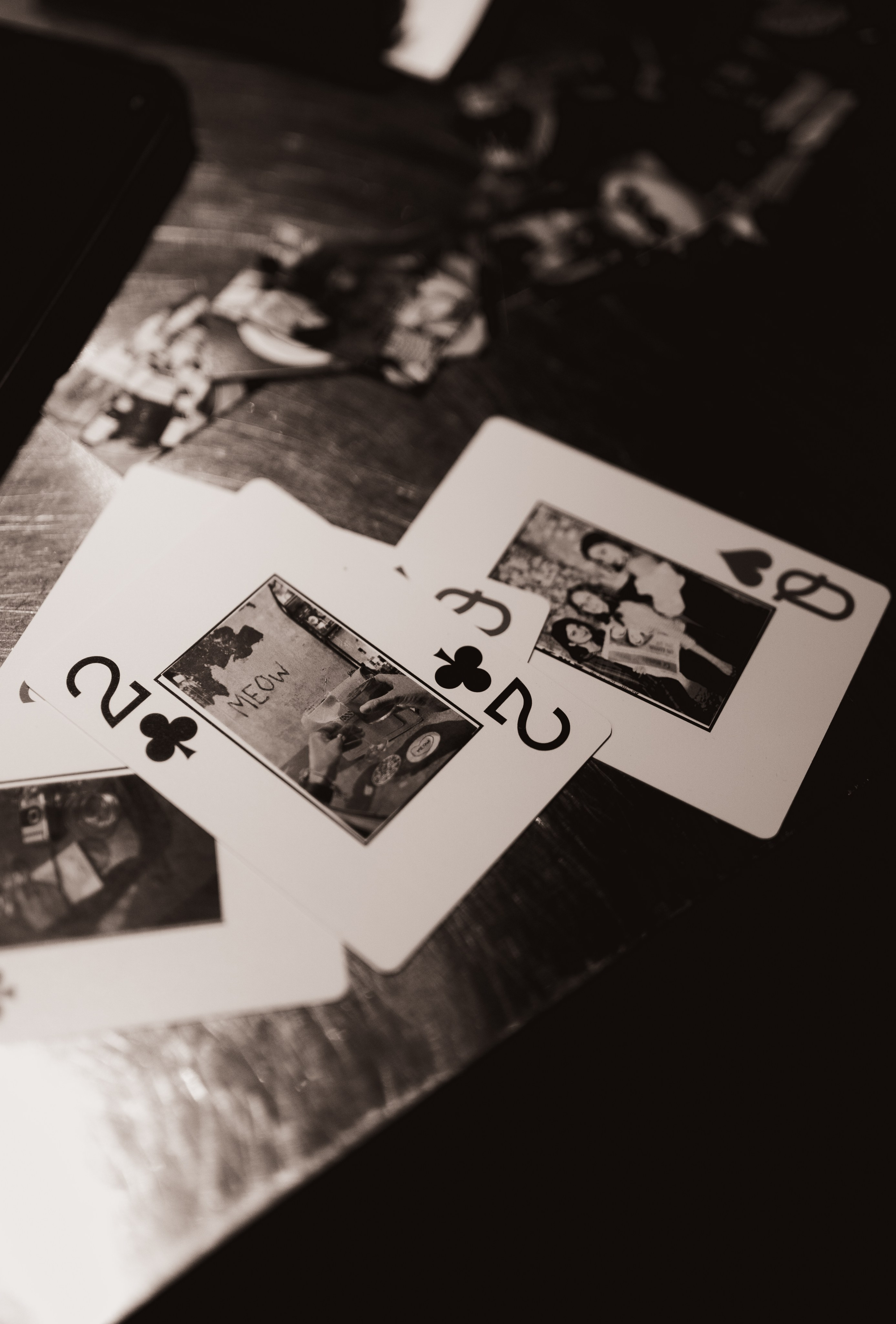 MEOW Bar. ЕВГЕНИЯ КОПАЧ