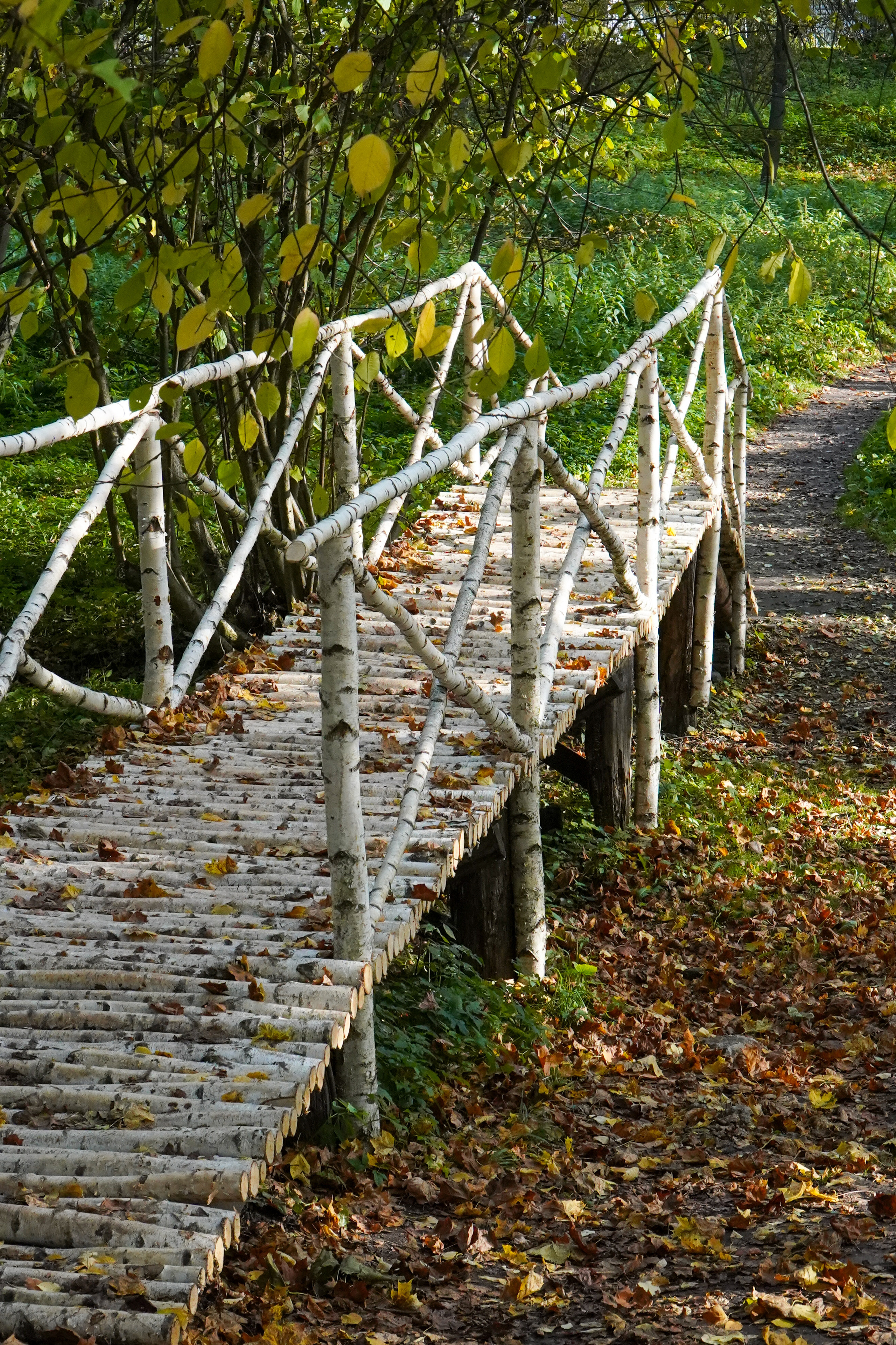 ТУЛА. Ясная поляна. Октябрь 2023. Фотограф Наталья Погодина в г. Обнинске