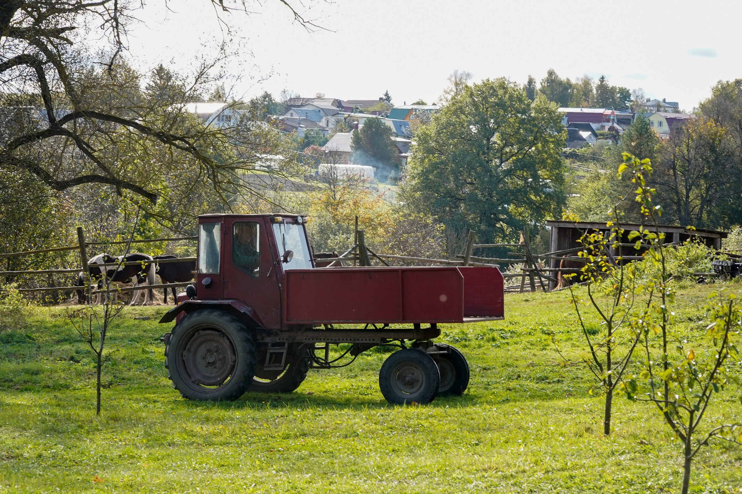 Ясная поляна