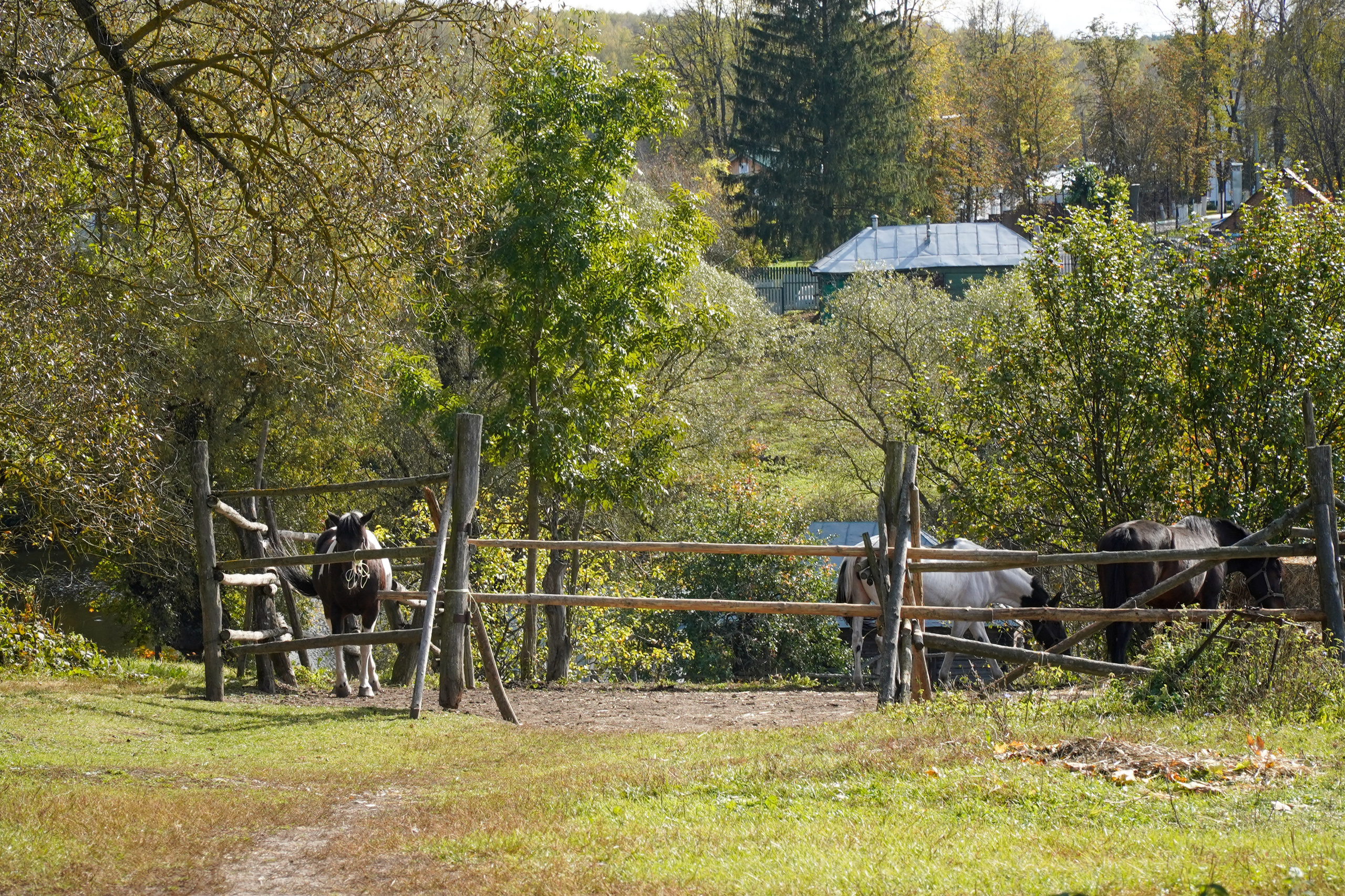 Ясная поляна