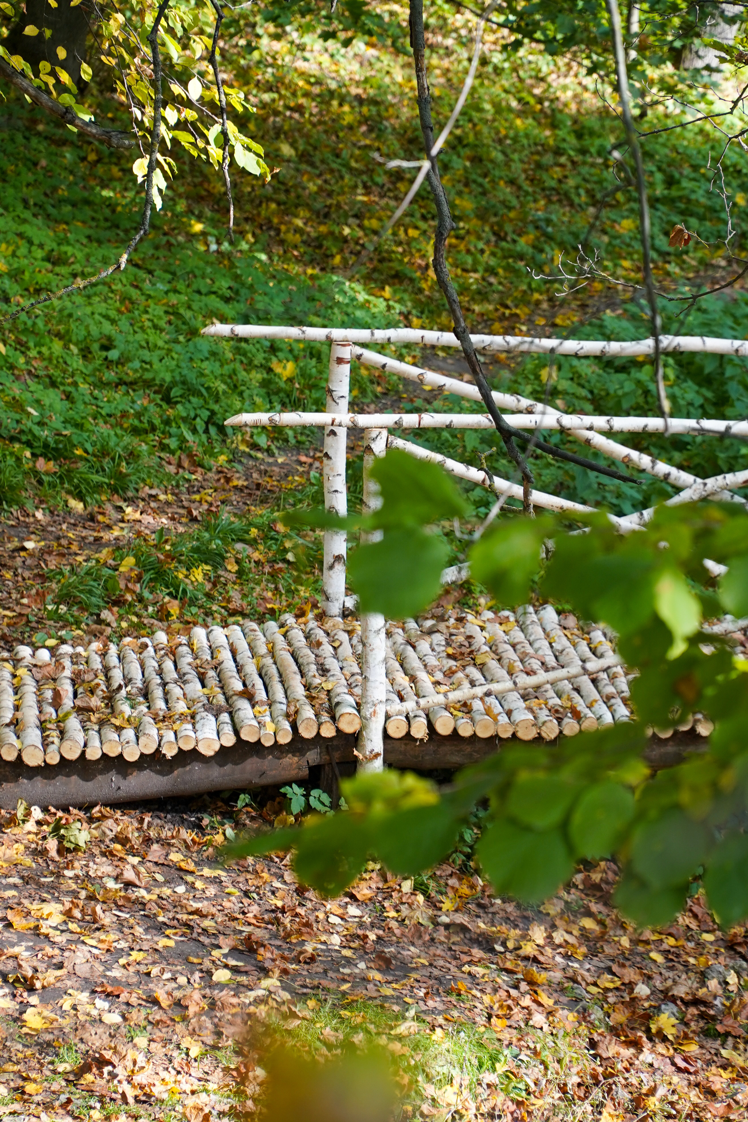 Ясная поляна