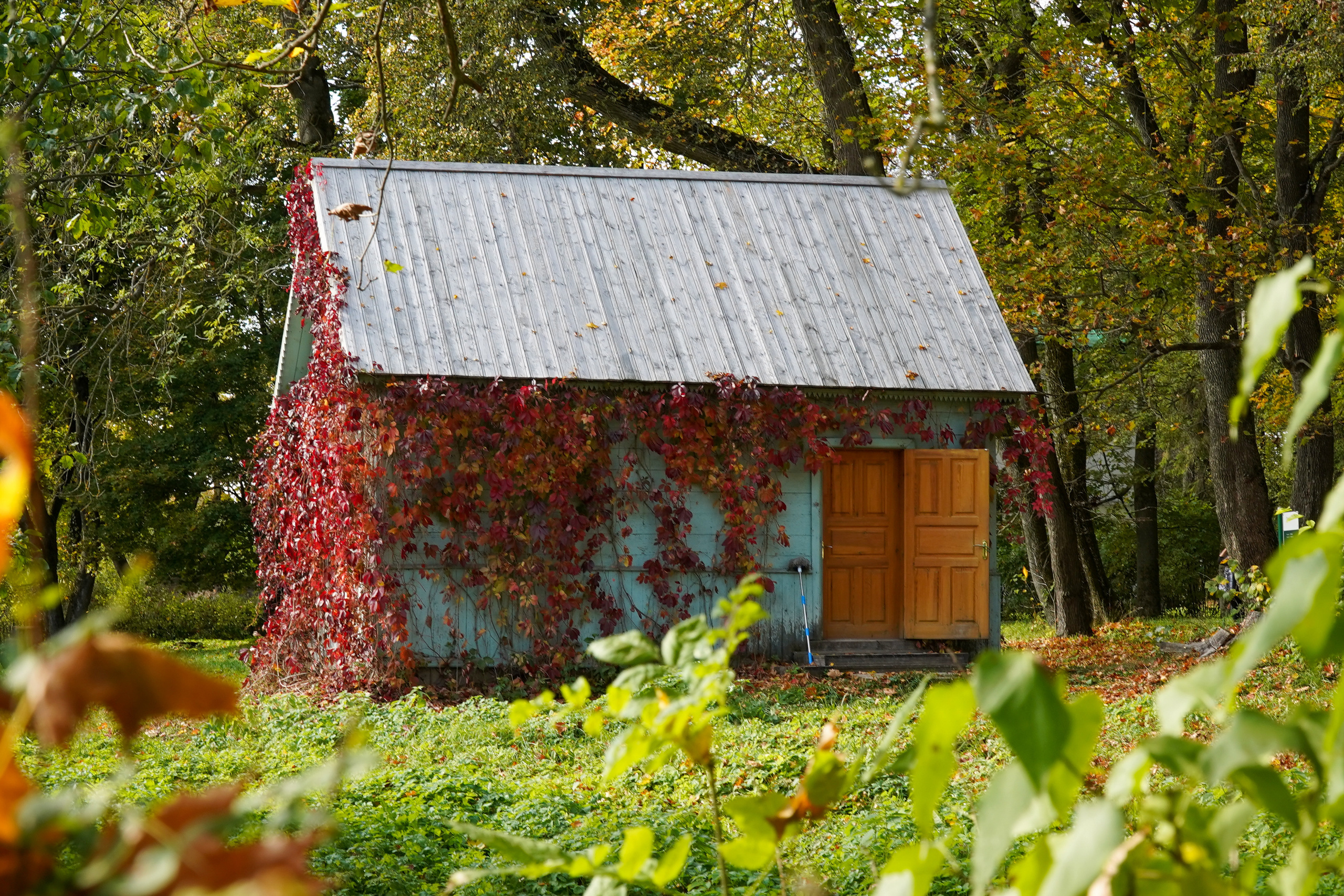 Ясная поляна