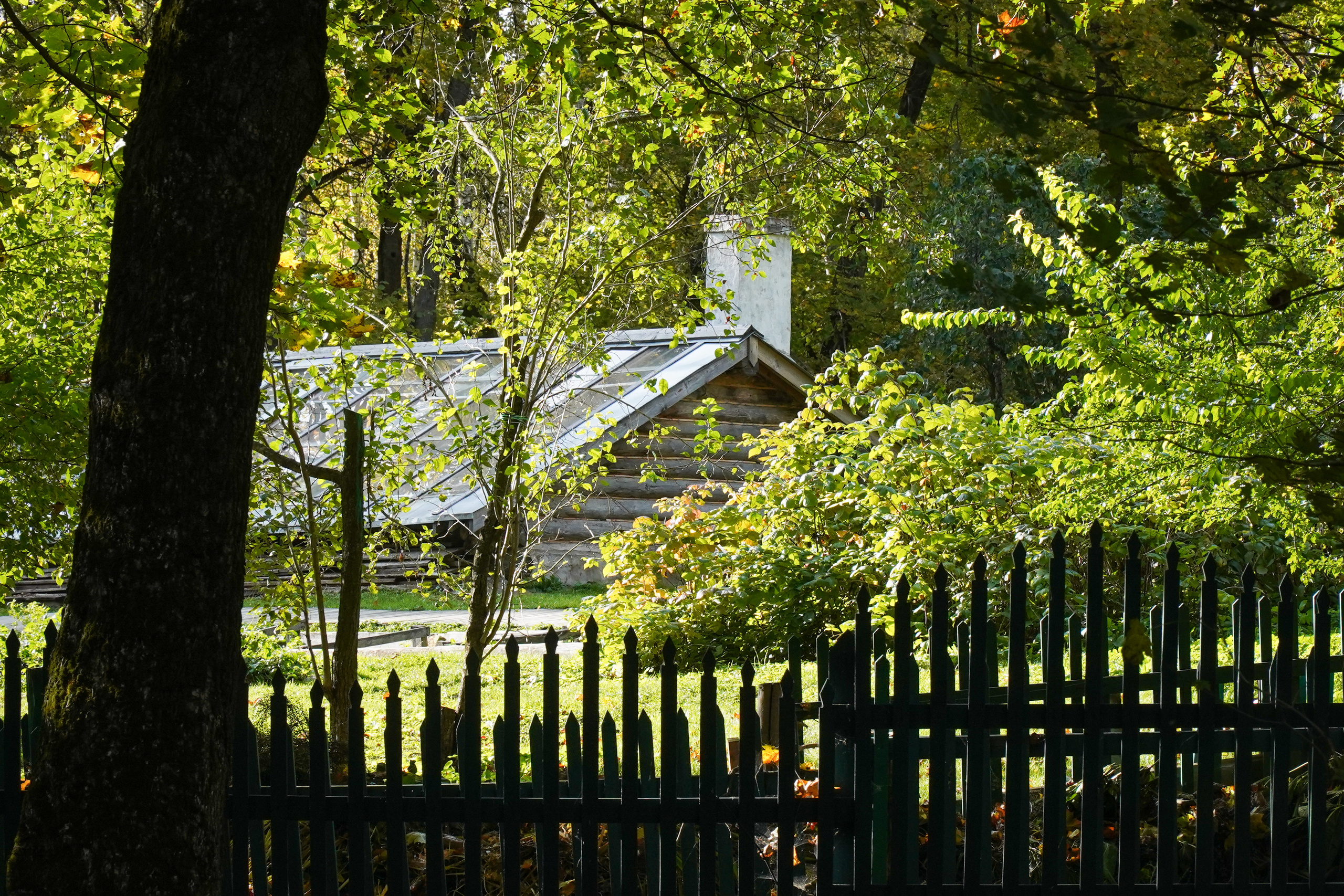 ТУЛА. Ясная поляна. Октябрь 2023. Фотограф Наталья Погодина в г. Обнинске