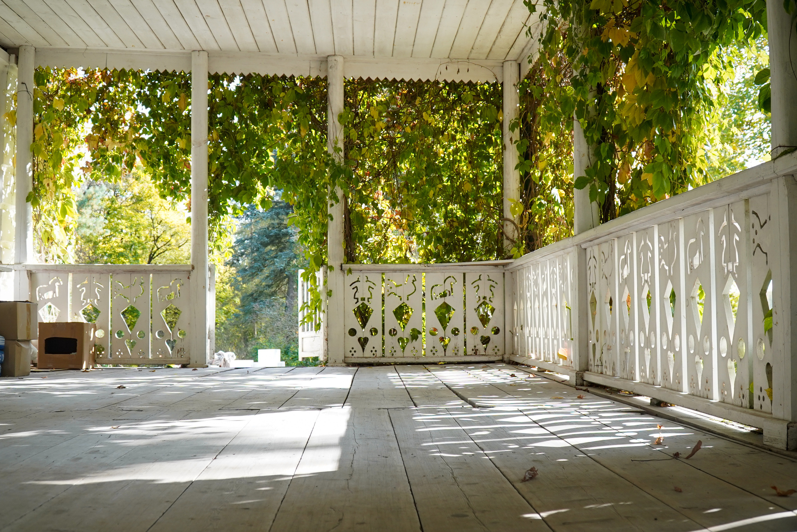 Ясная поляна