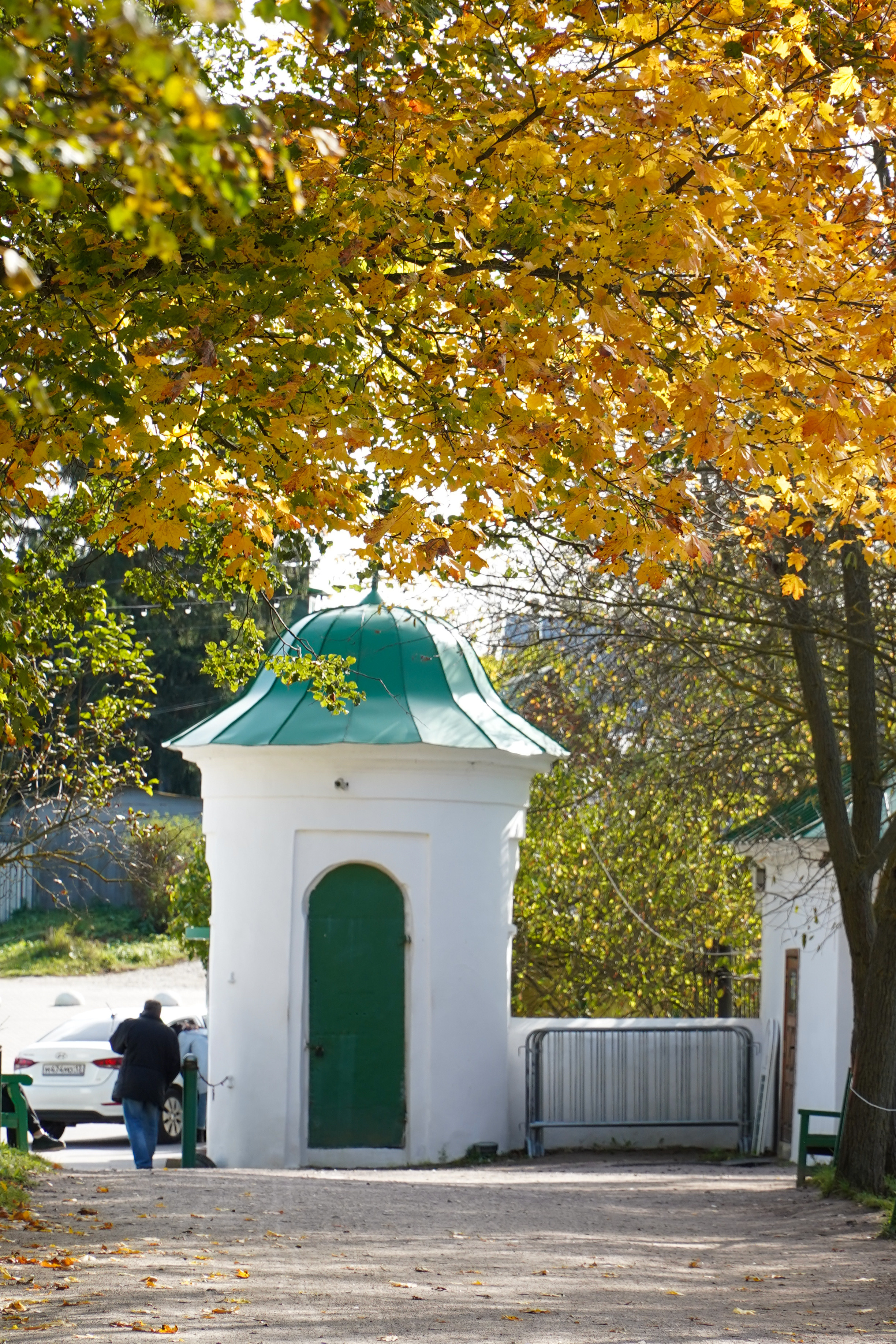 Ясная поляна