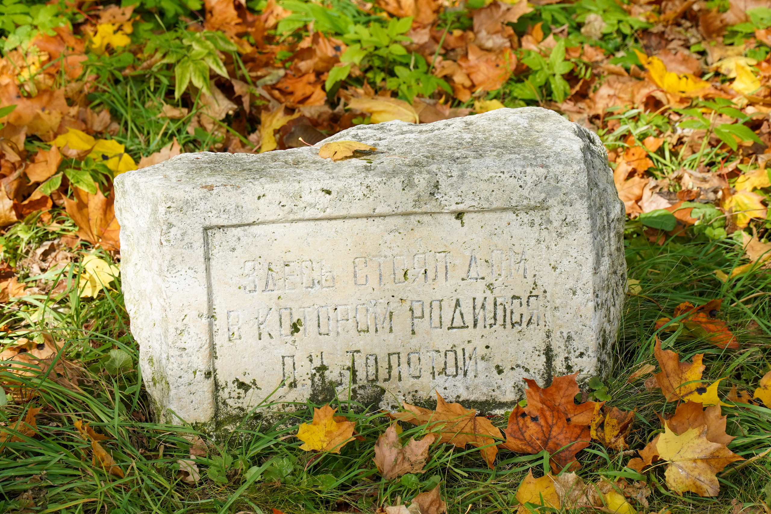 Ясная поляна