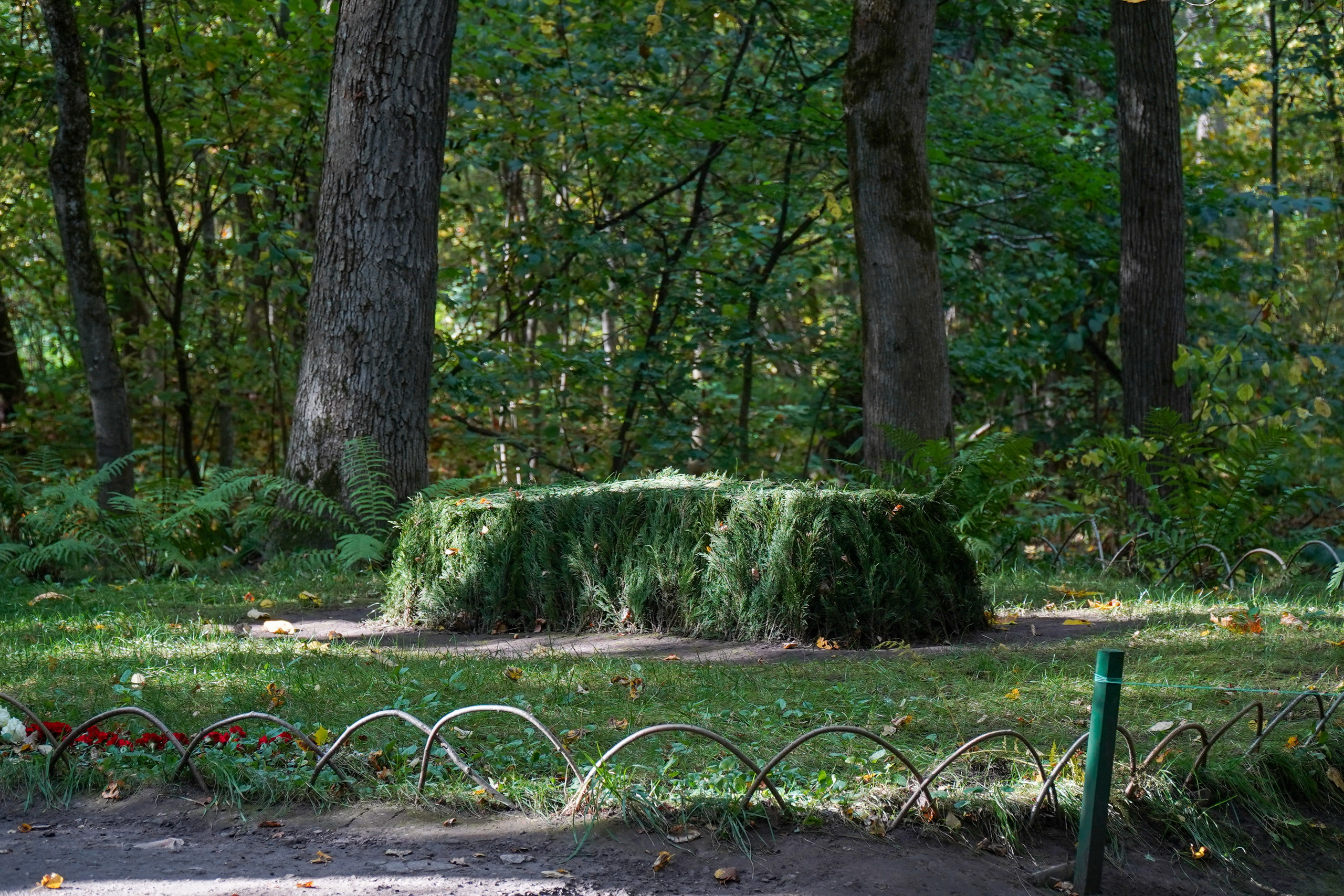 Ясная поляна