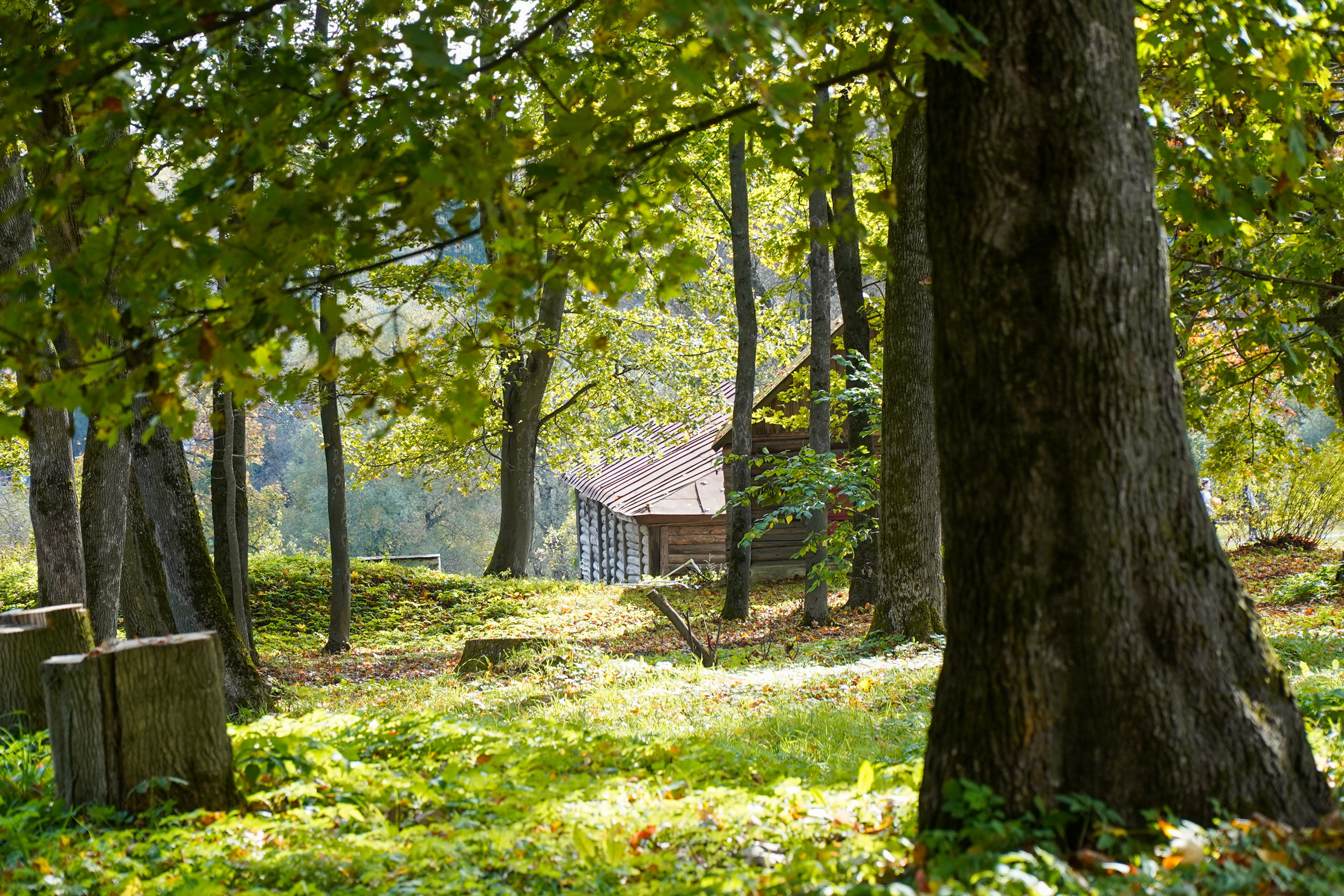 Ясная поляна