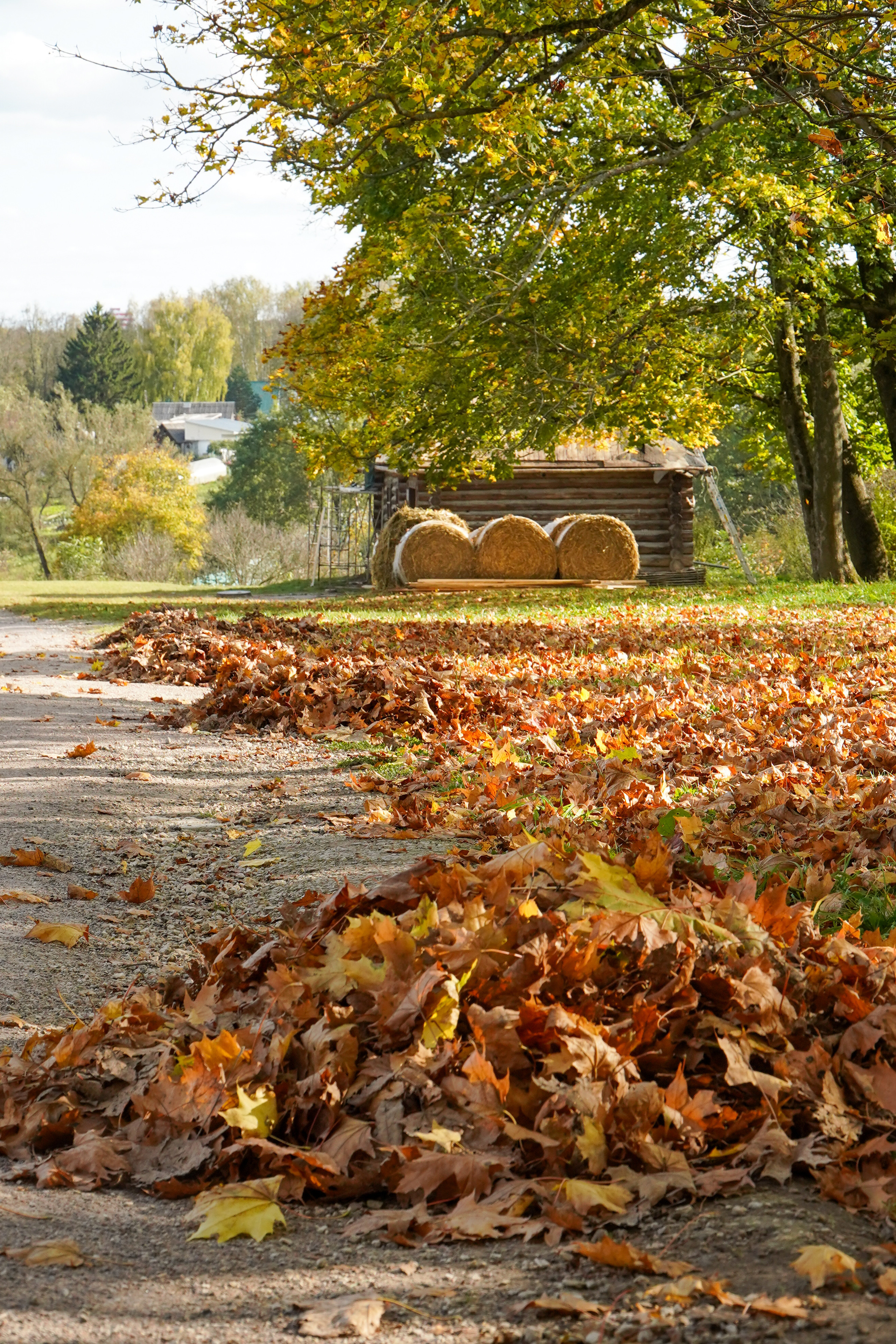 Ясная поляна