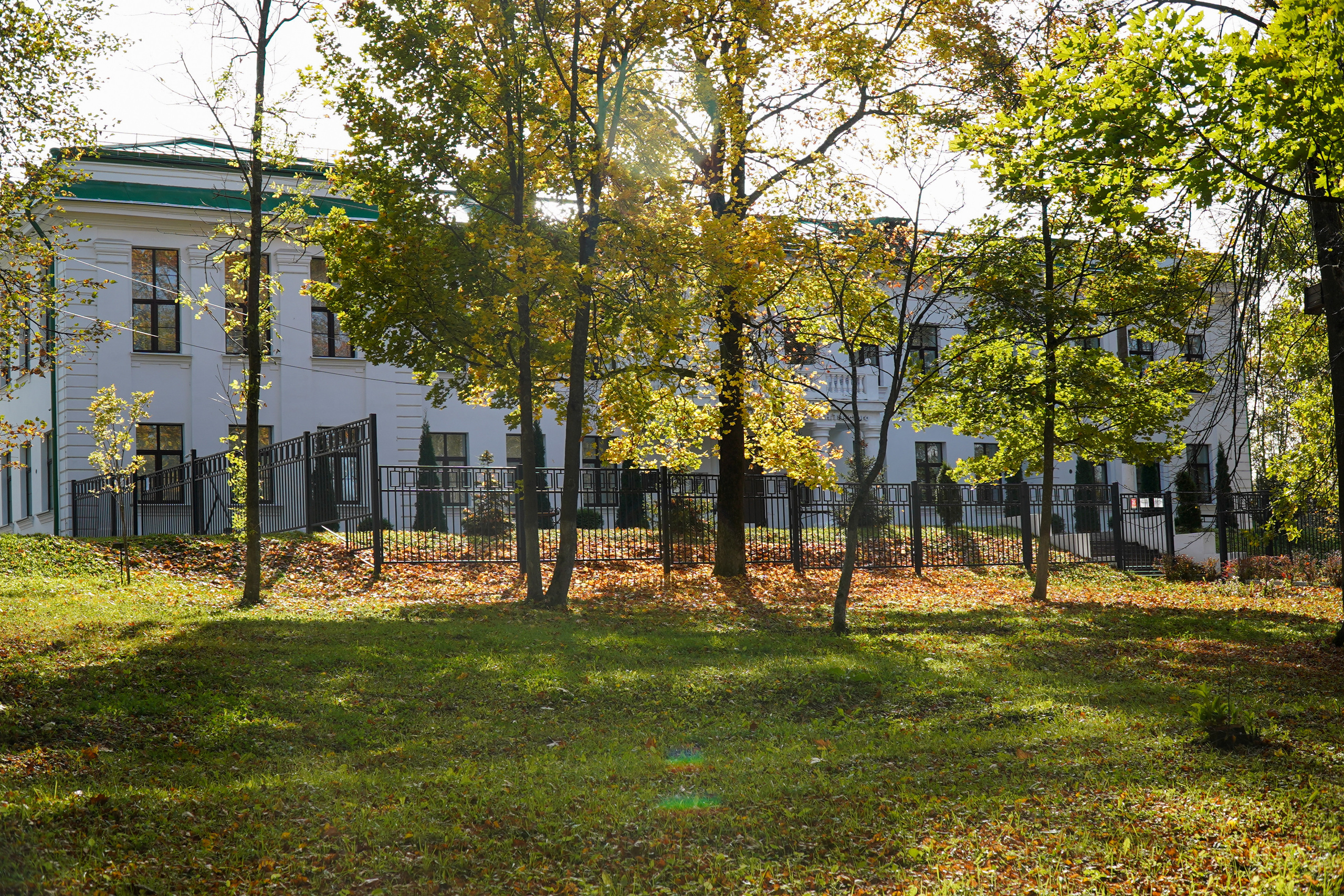 Ясная поляна