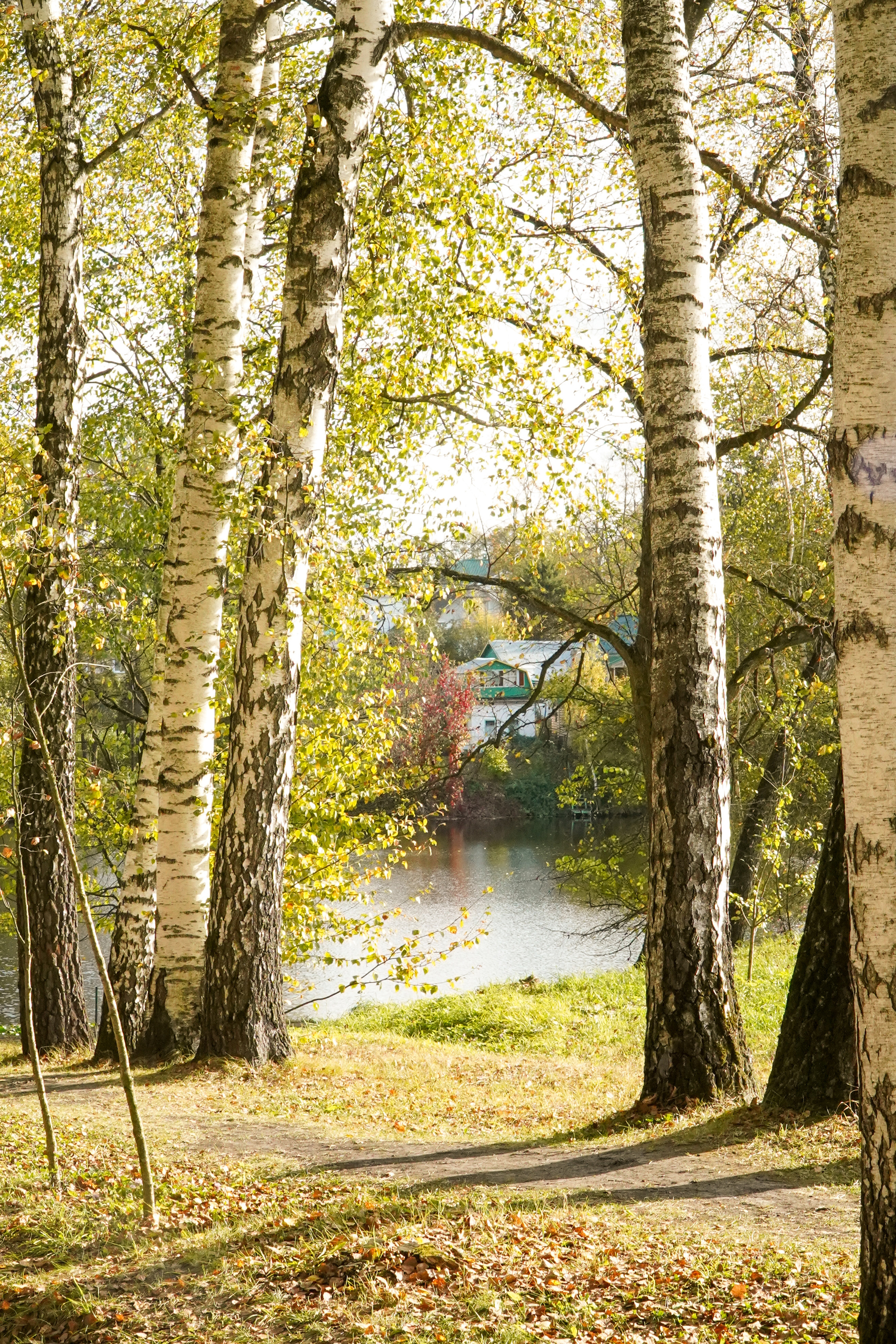 ТУЛА. Ясная поляна. Октябрь 2023. Фотограф Наталья Погодина в г. Обнинске