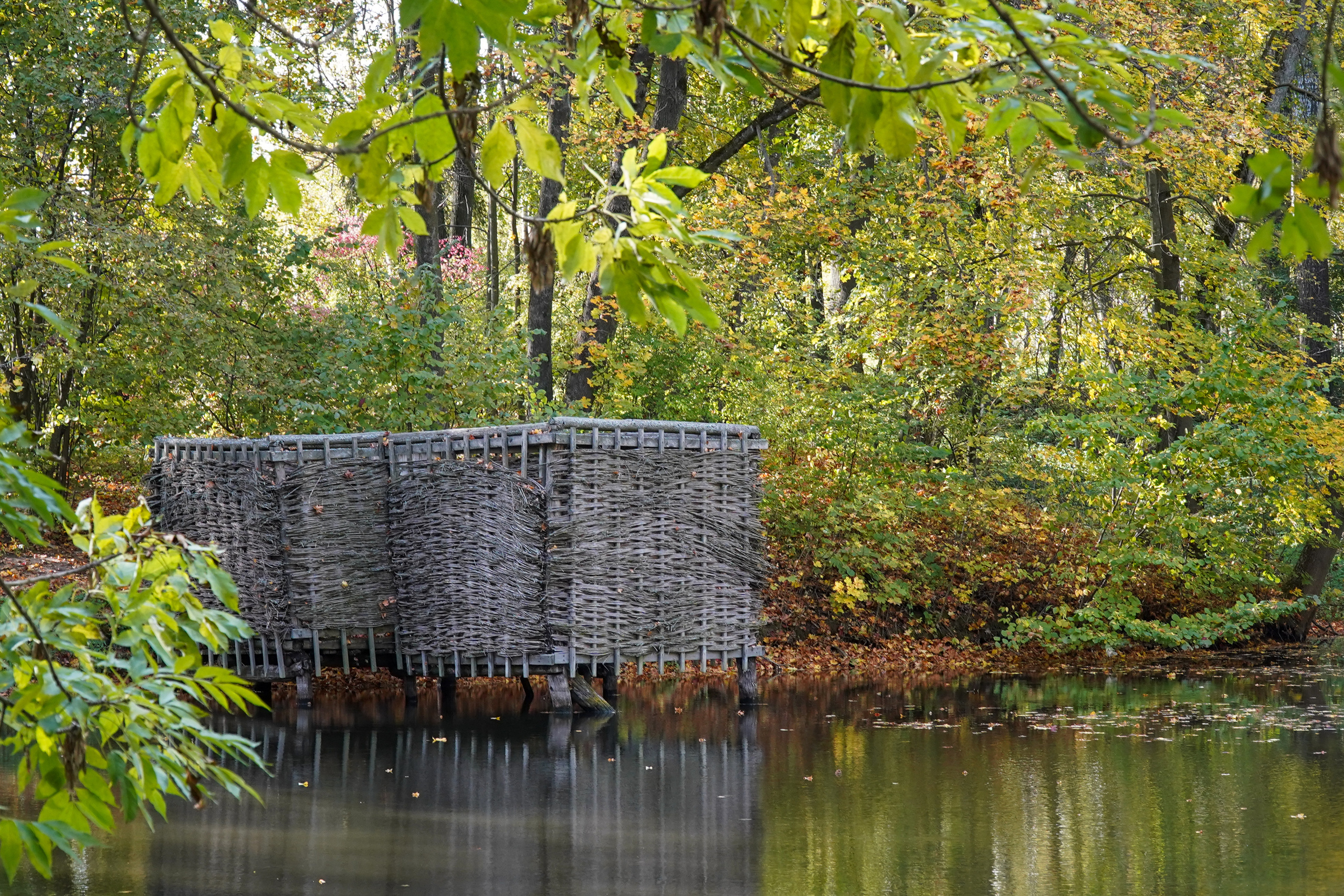 ТУЛА. Ясная поляна. Октябрь 2023. Фотограф Наталья Погодина в г. Обнинске
