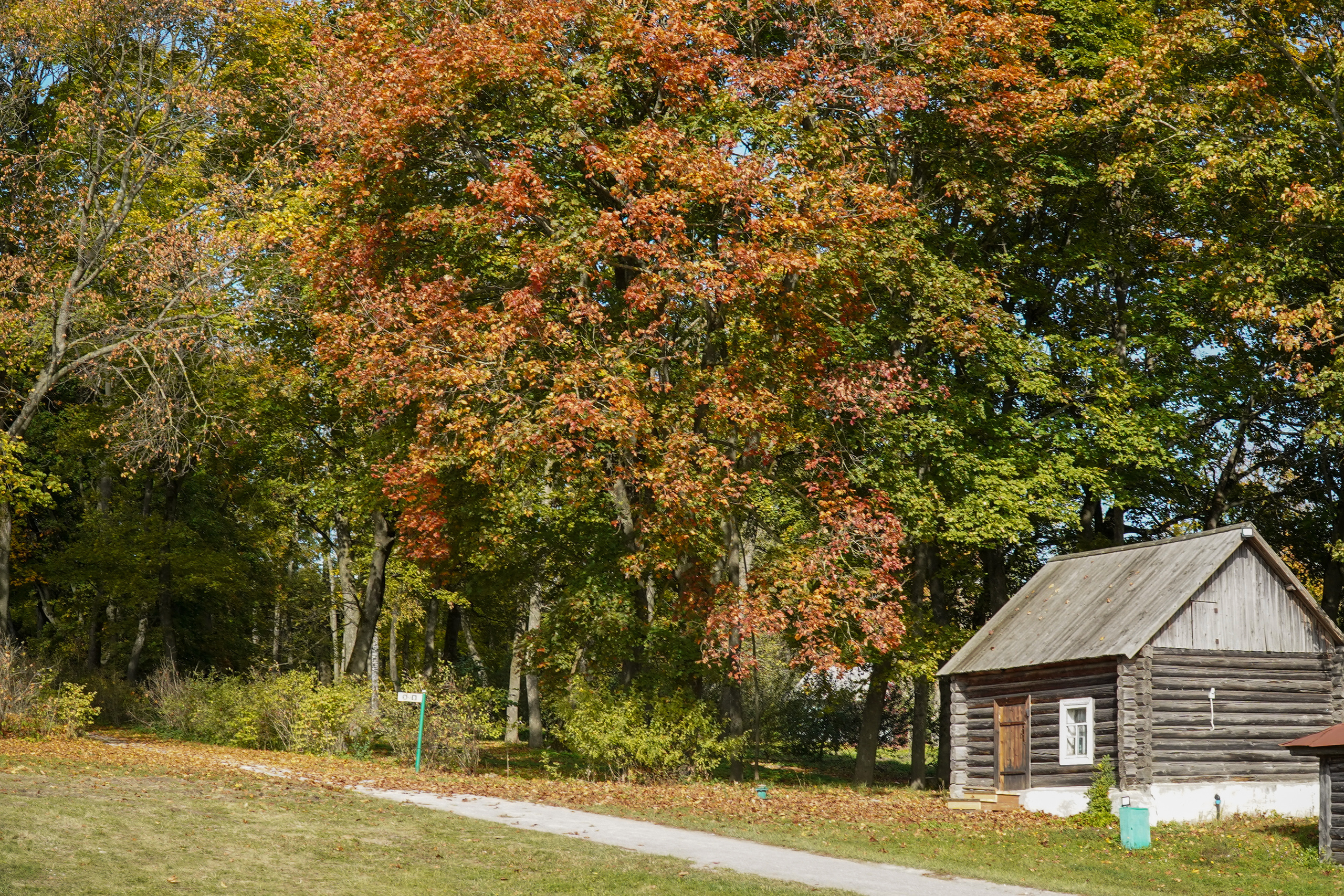 Ясная поляна