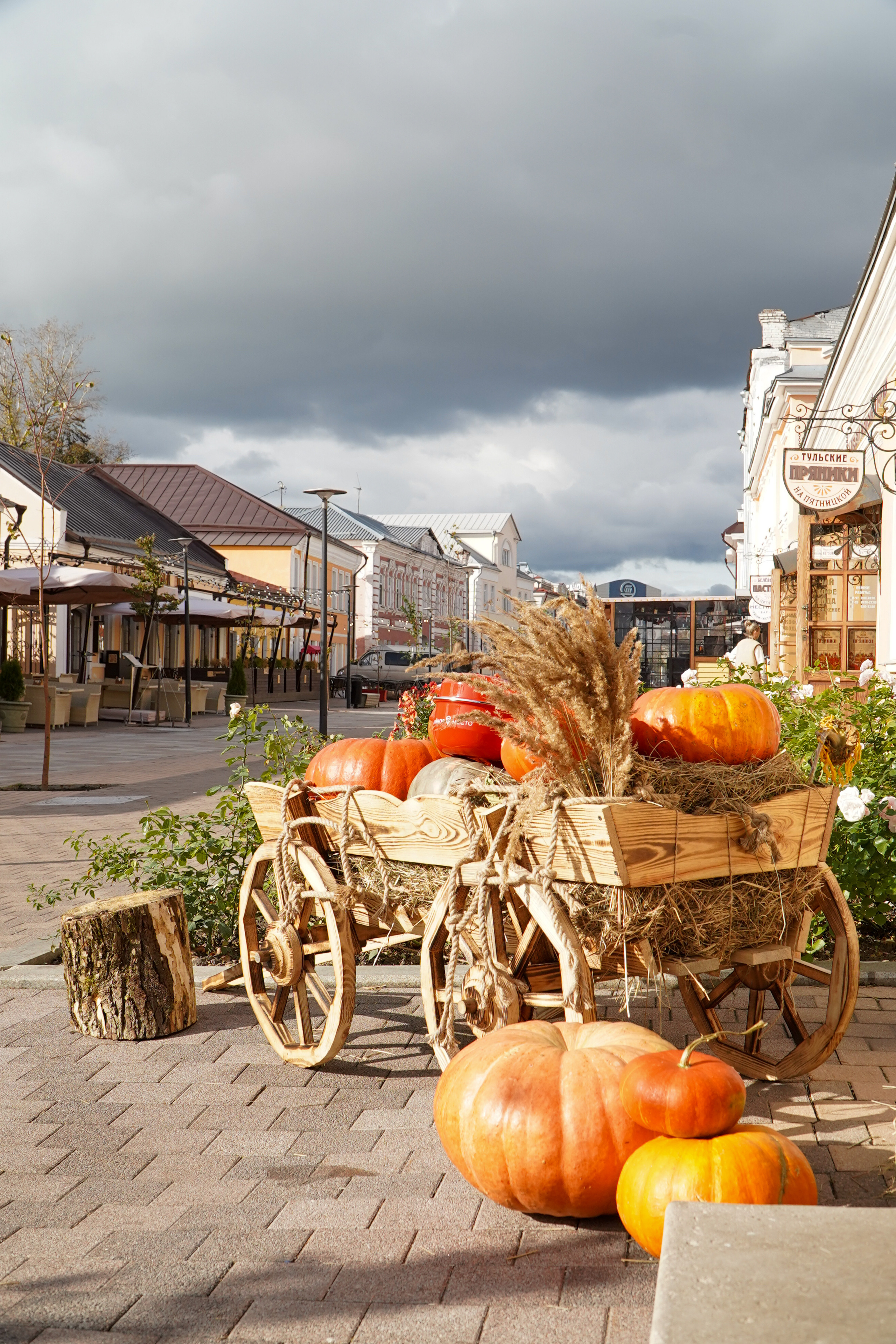 ТУЛА. Ясная поляна. Октябрь 2023. Фотограф Наталья Погодина в г. Обнинске