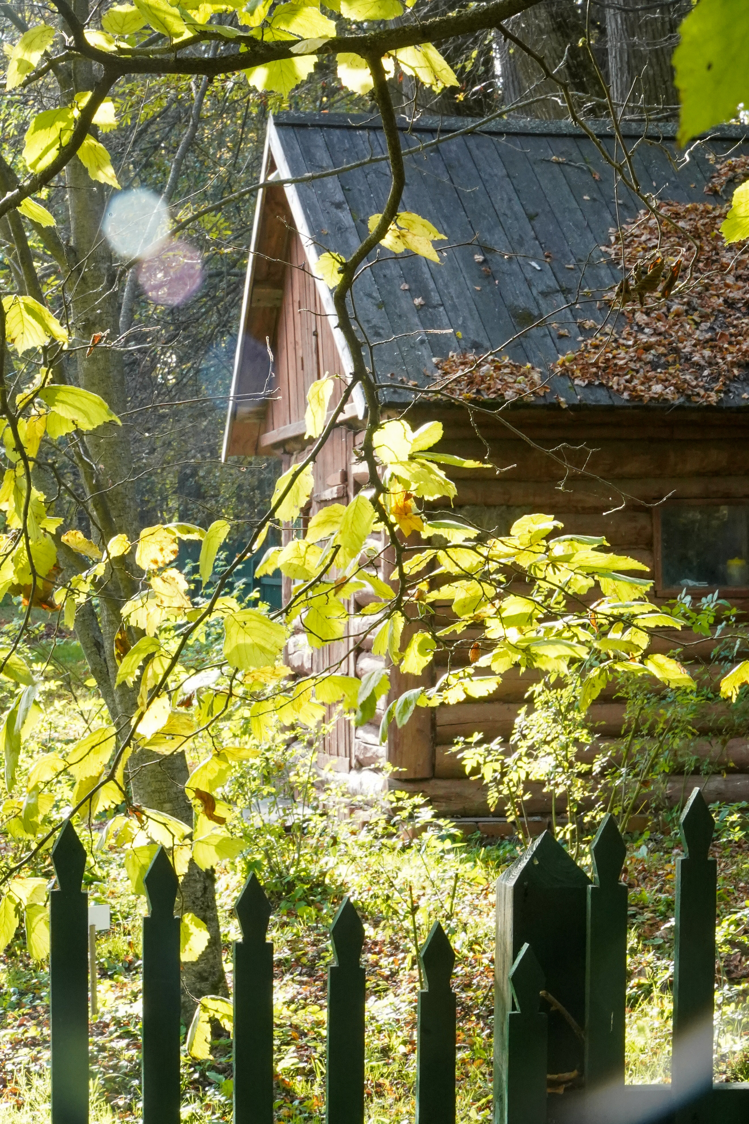 ТУЛА. Ясная поляна. Октябрь 2023. Фотограф Наталья Погодина в г. Обнинске