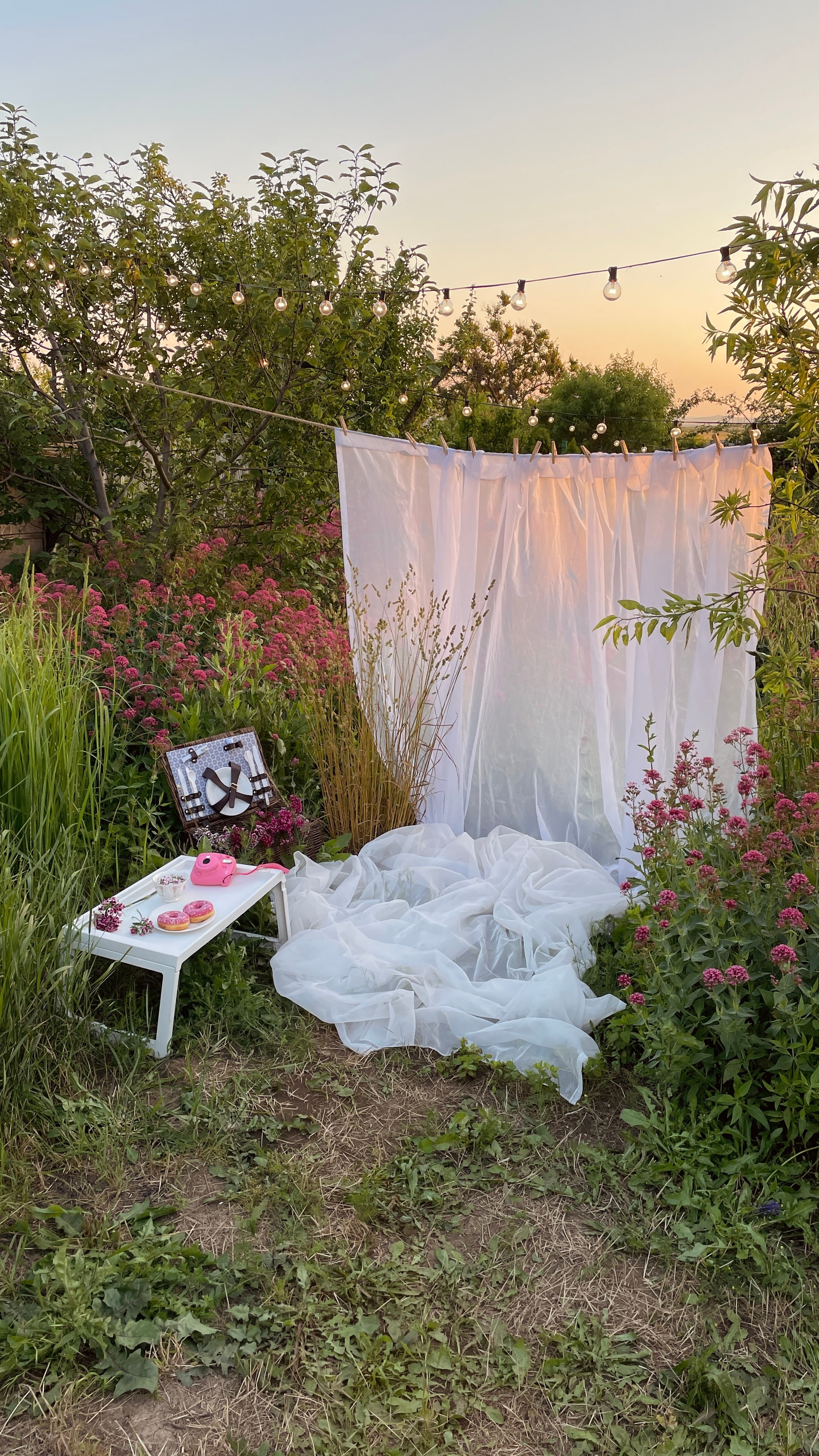 Пикники. Фотостудия Натальи Забродской