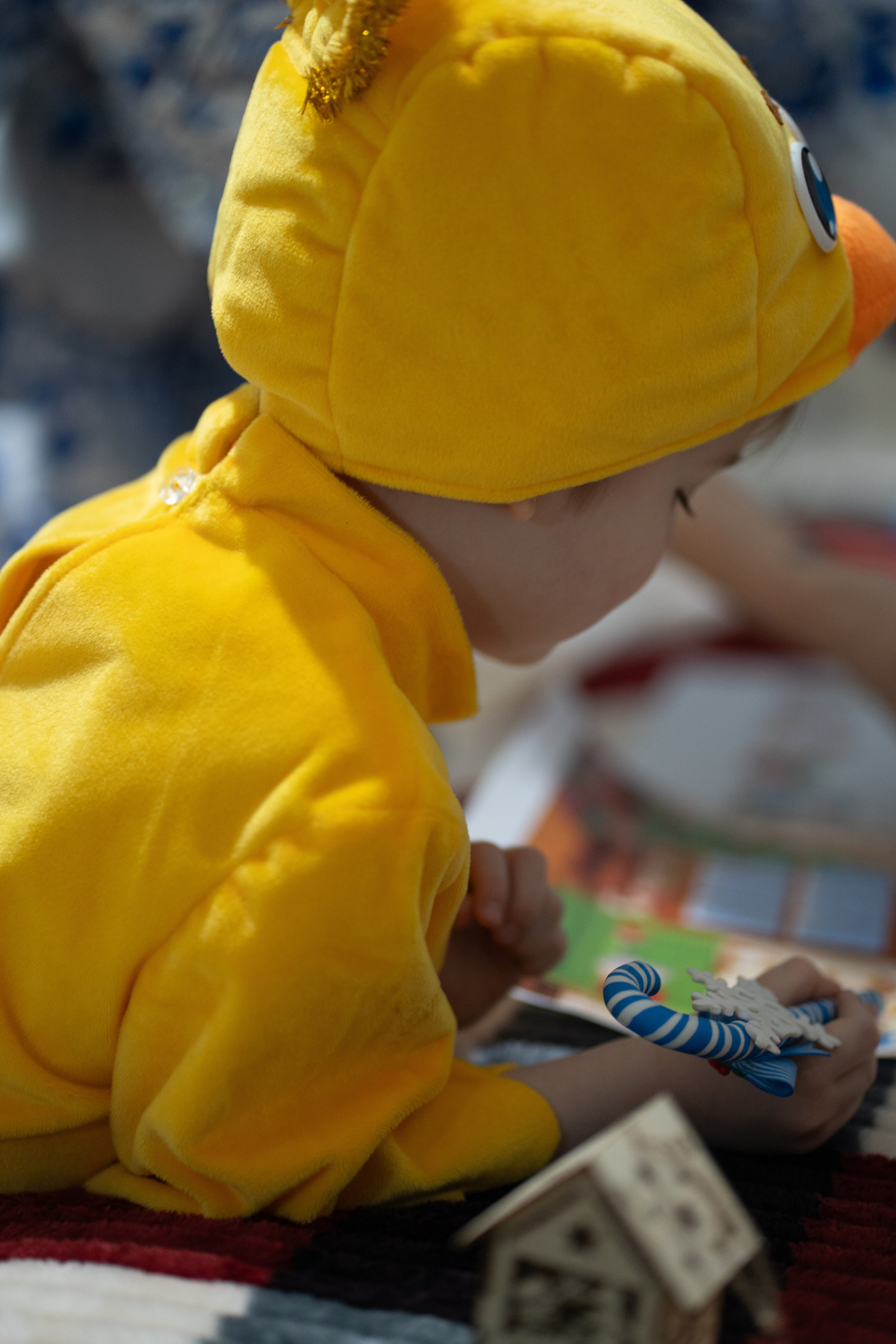 Новый год дома. Алена Коломоец | Фотограф, Мирный, Якутия