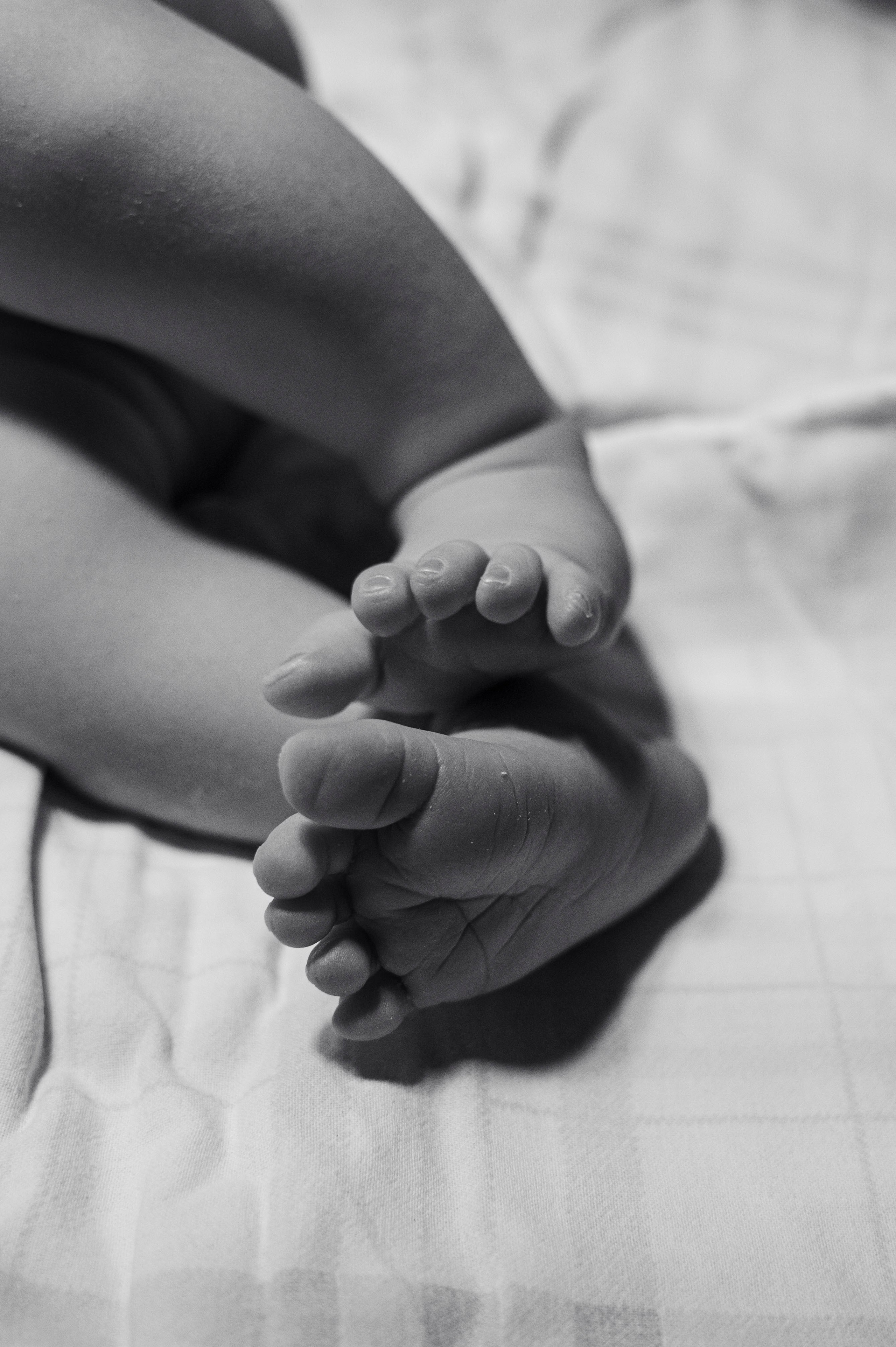 Василиса родилась. Роддом на Фурштатской. Парцалис Г.К./ Иринина А.С. Фотограф на роды СПБ Юлия Герасимова