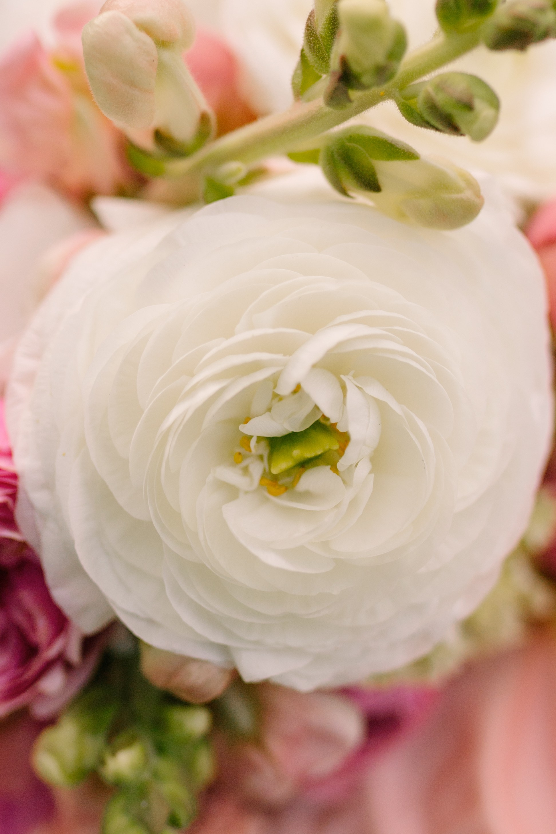 Елизавета и Александр. Фотограф и Видеограф во Владимире