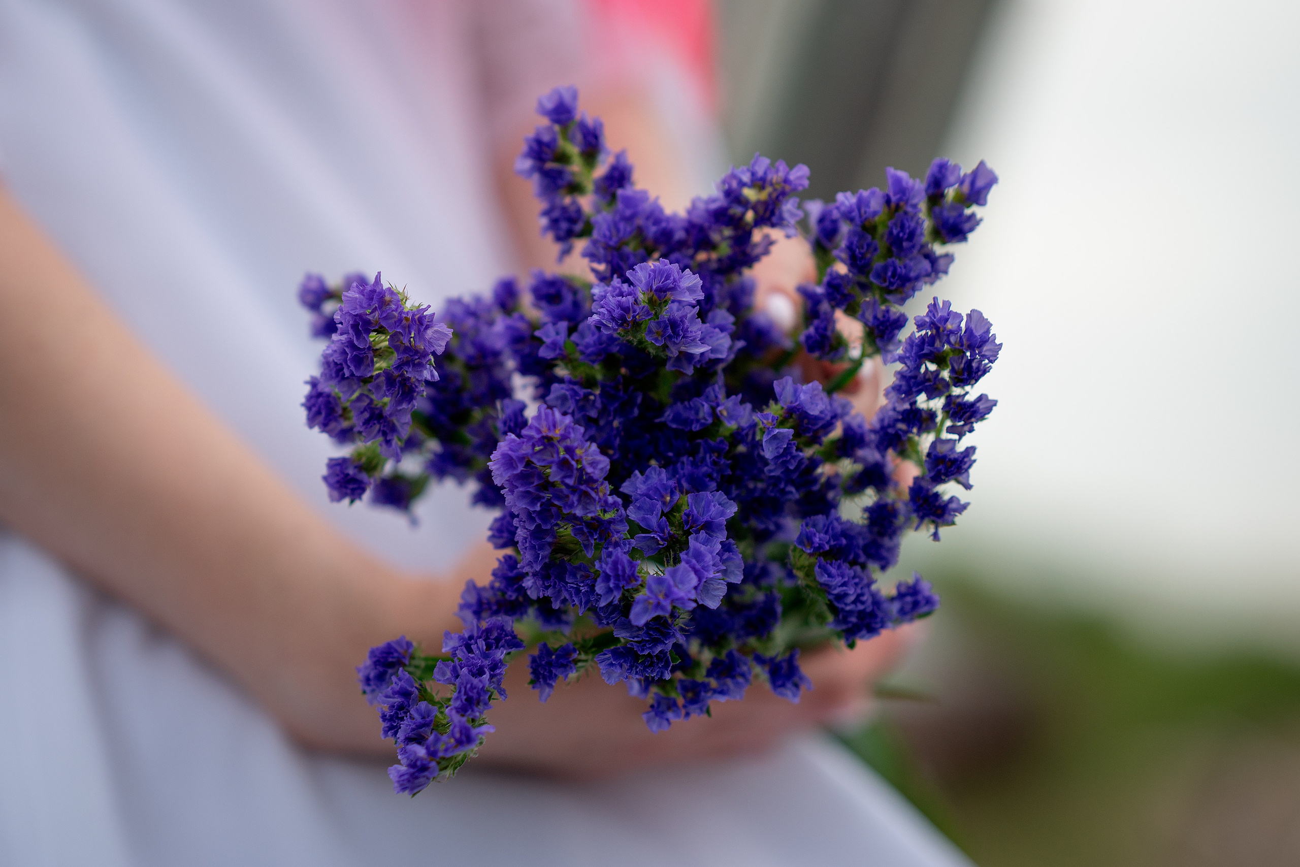 Дева озера. Творческий фотограф Вологда