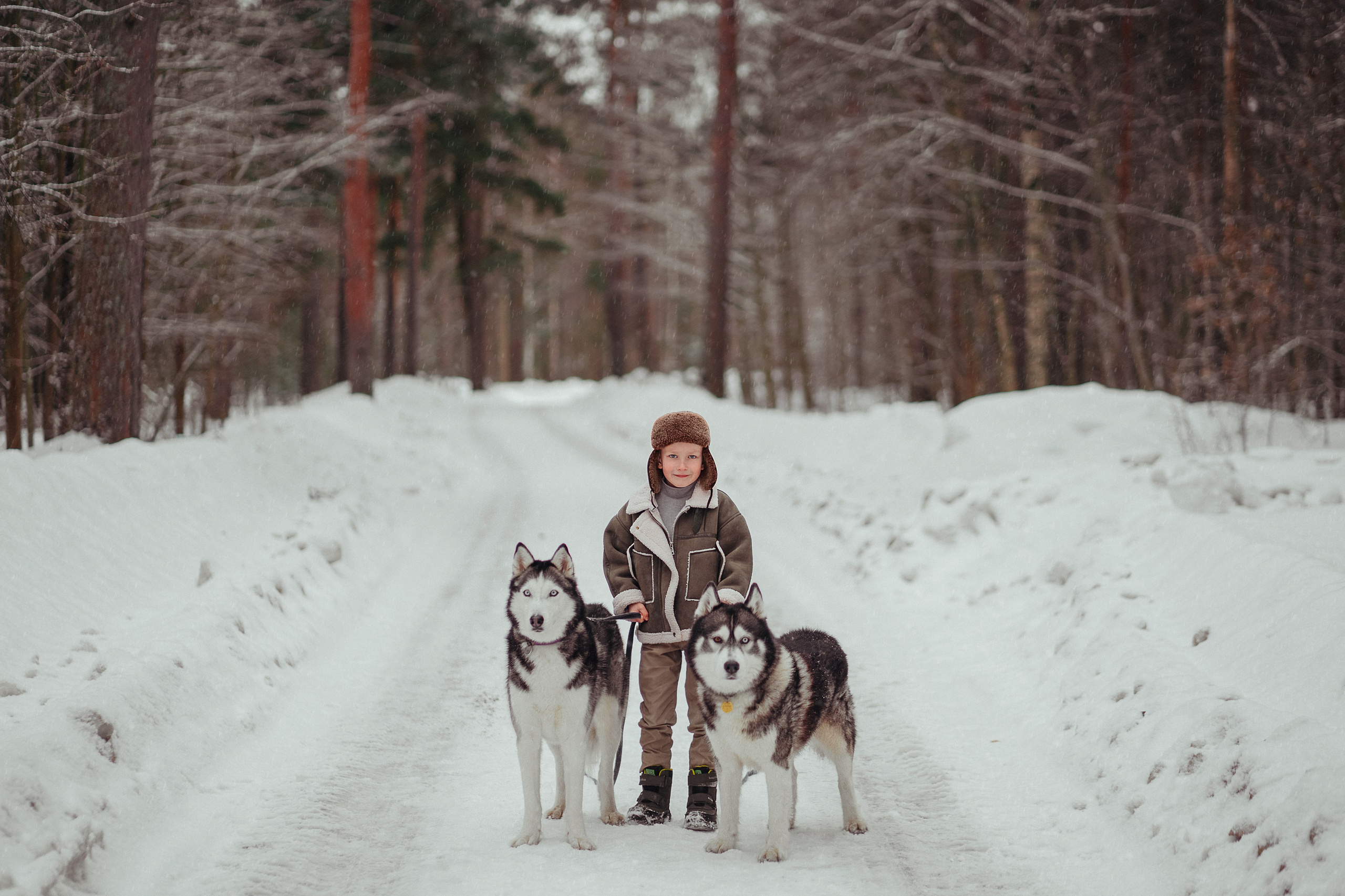 Хвостики. Главная