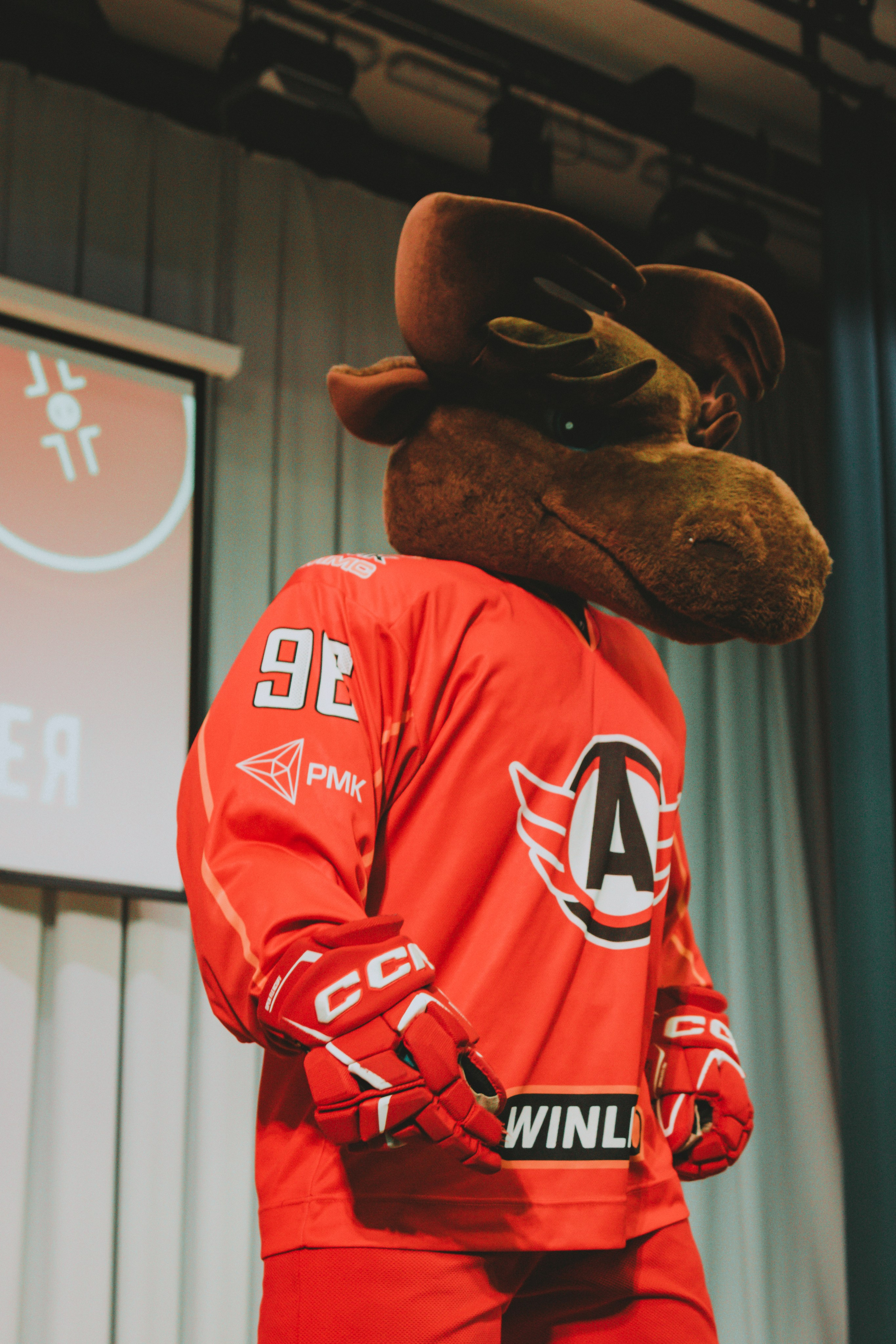 УРОКИ ХОККЕЯ ХК «АВТОМОБИЛИСТ». Фотограф в Екатеринбурге Ирада Баянгулова