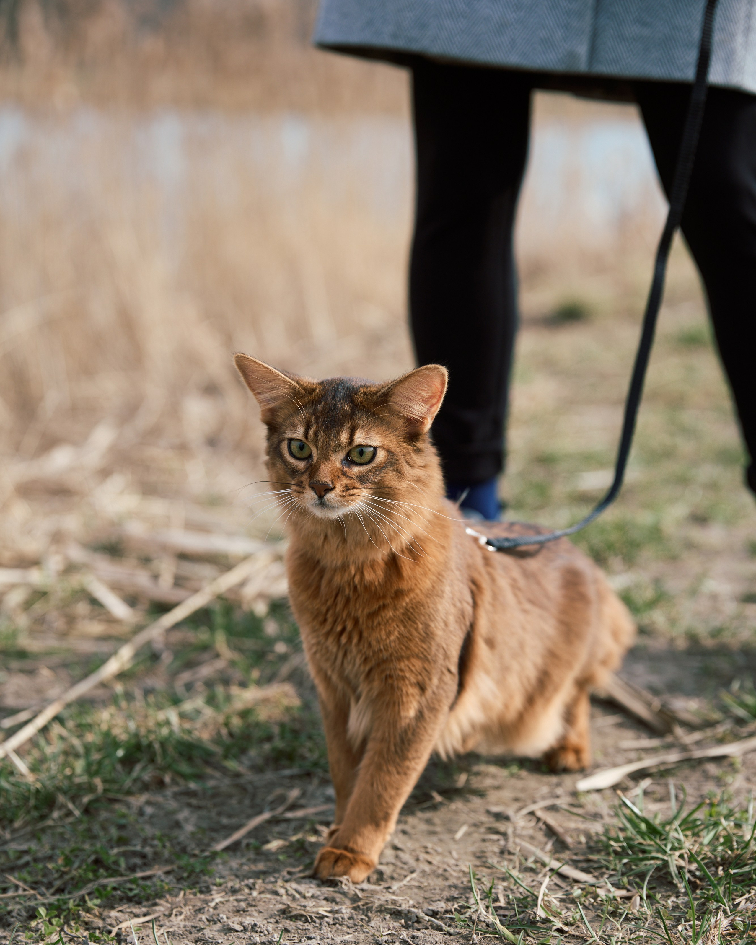 Rufus. Творческий фотограф в Санкт-Петербурге — Никита Шохенмайер