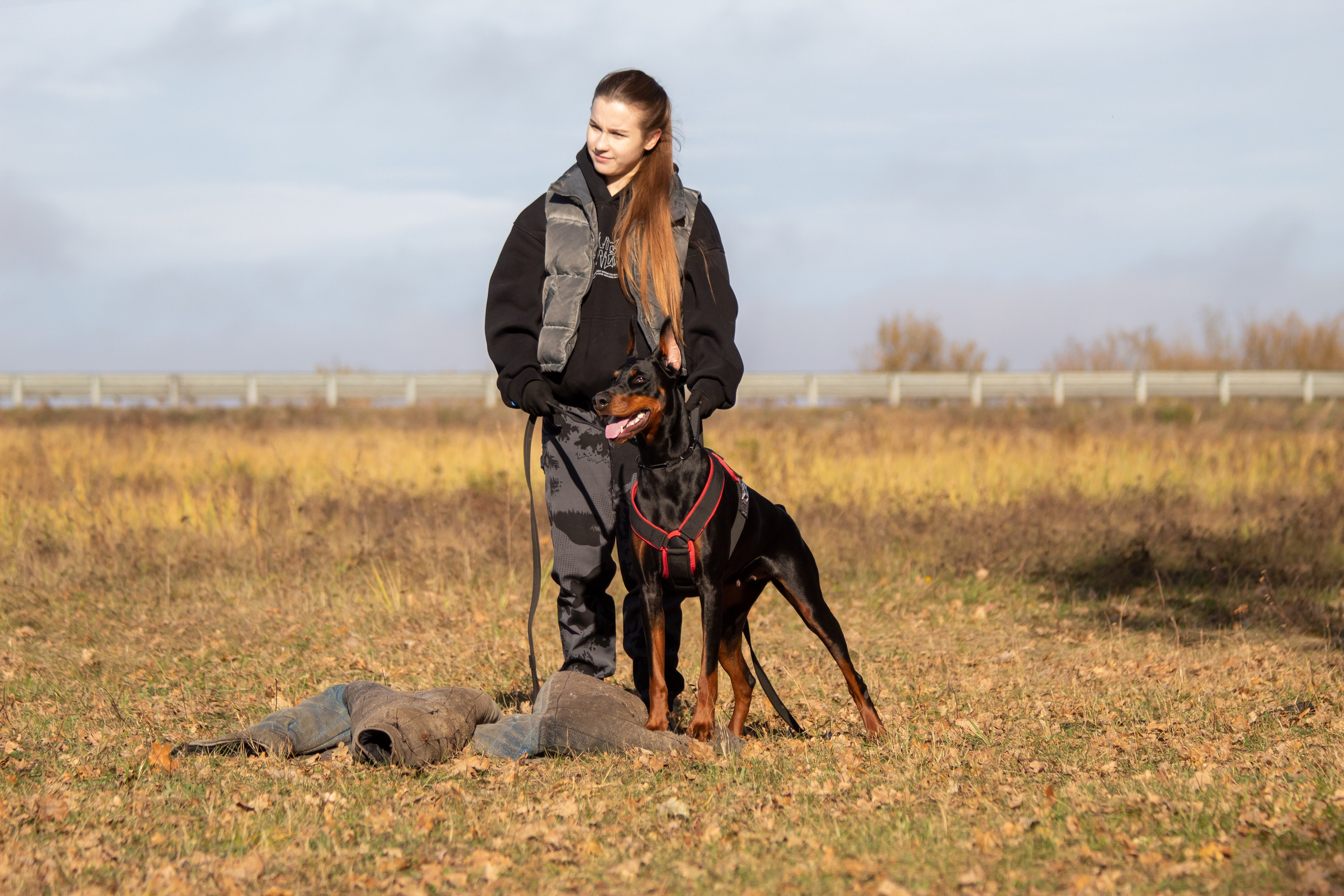 Тренинг защитного раздела. Фотограф анималист — Тула, Москва