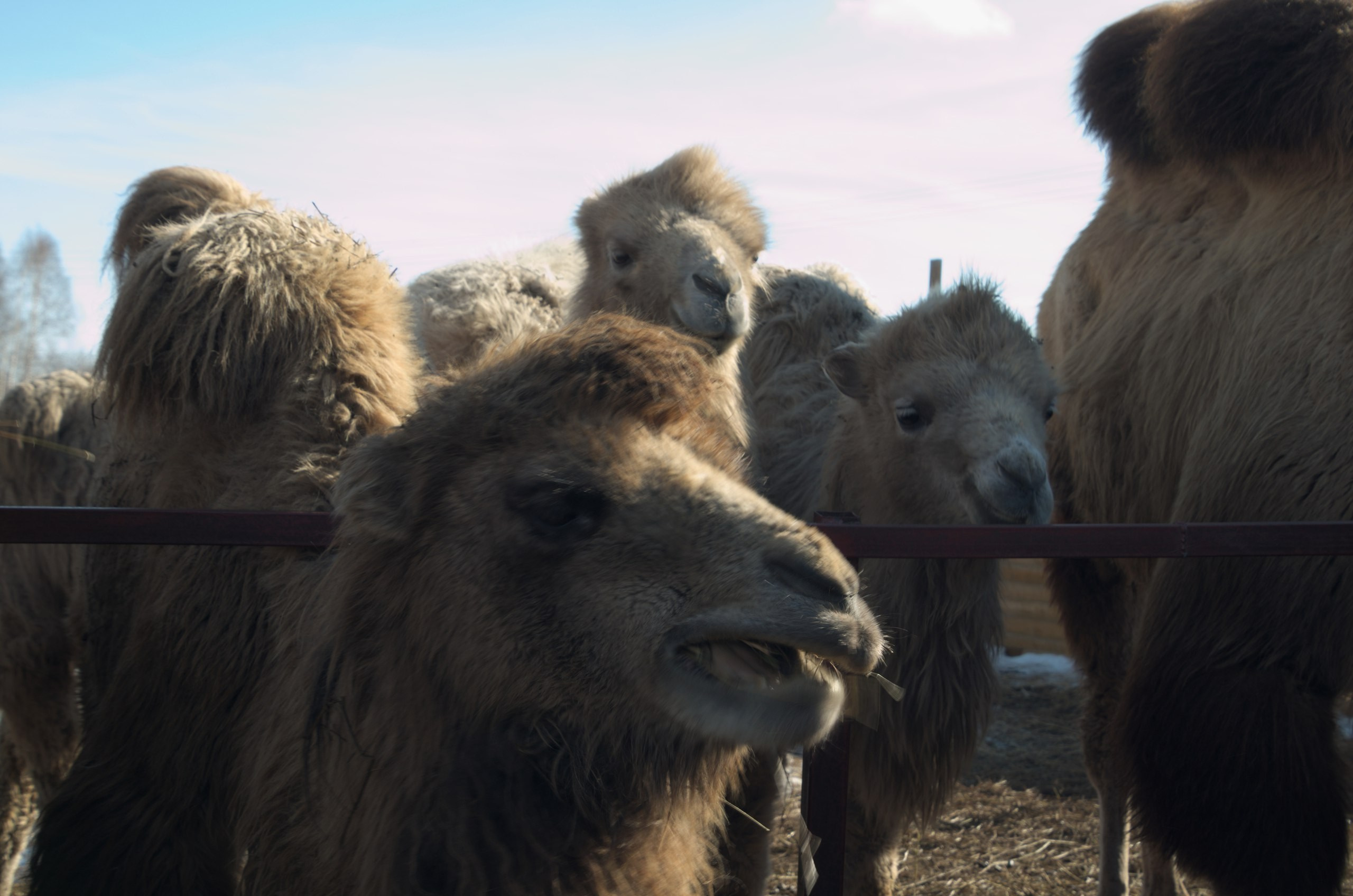 Казань | 24-26.03.2017. Галерея Фантим