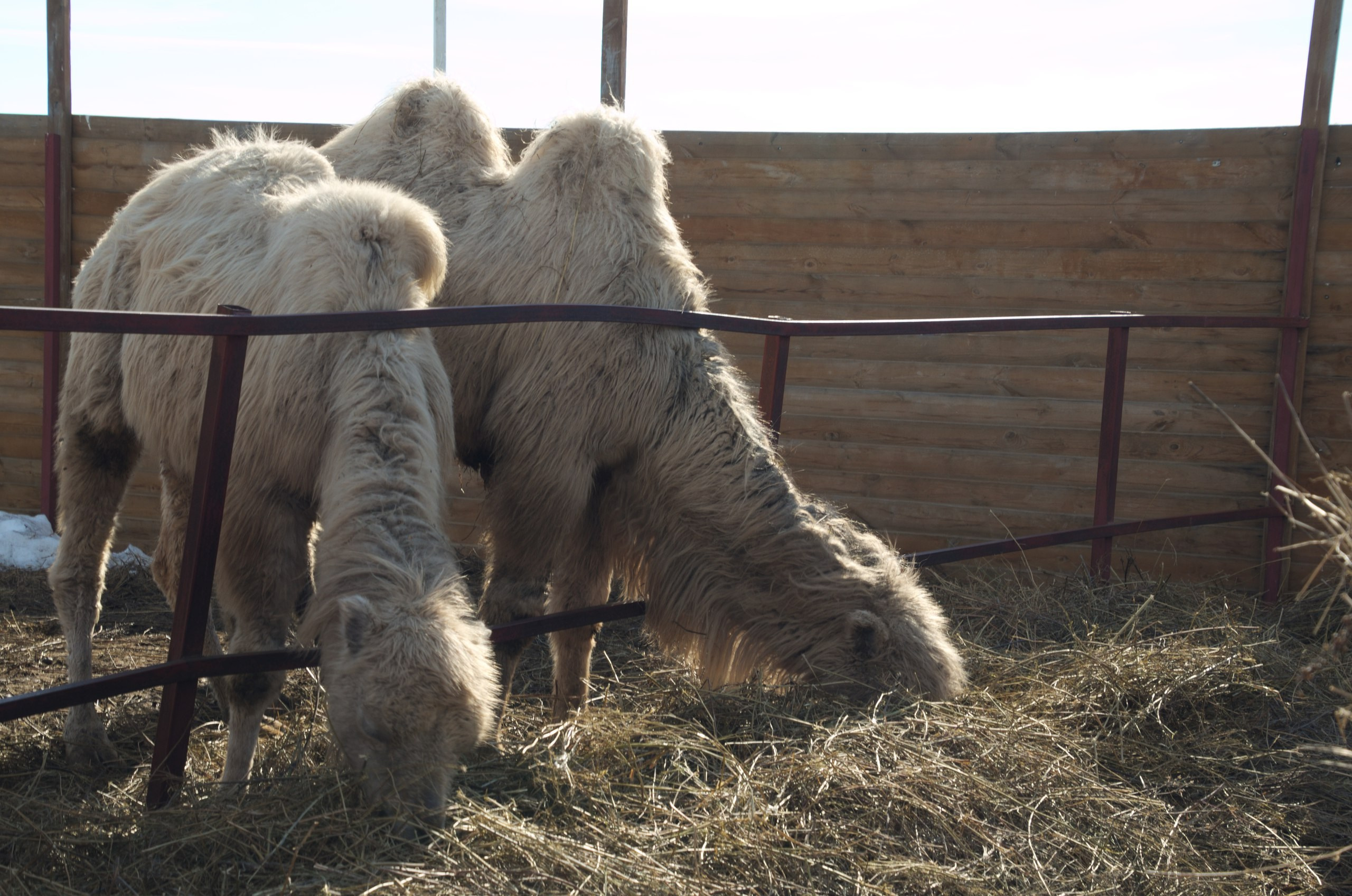 Казань | 24-26.03.2017. Галерея Фантим