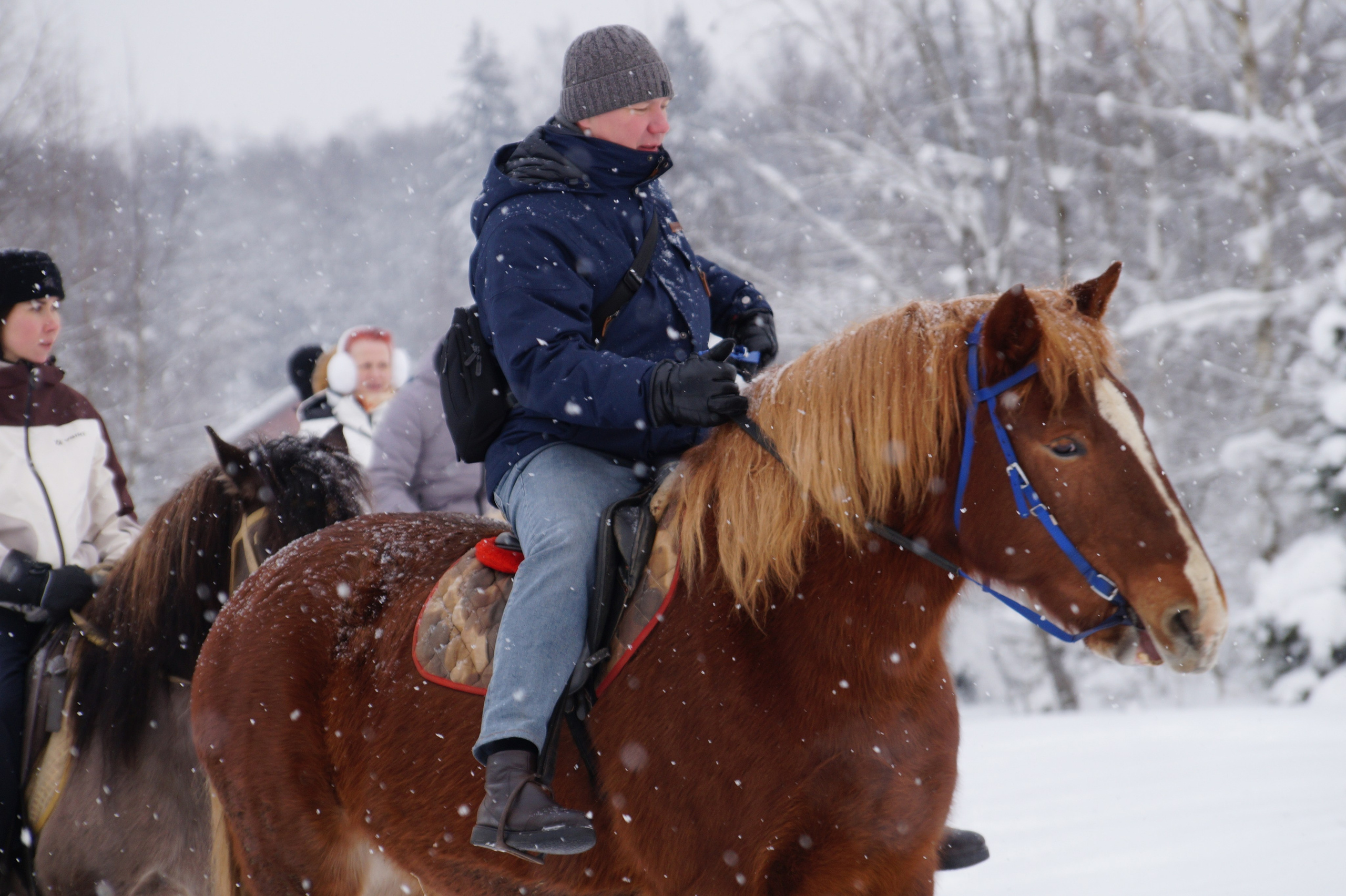 Лошадинг | 11.01.2026. Галерея Фантим