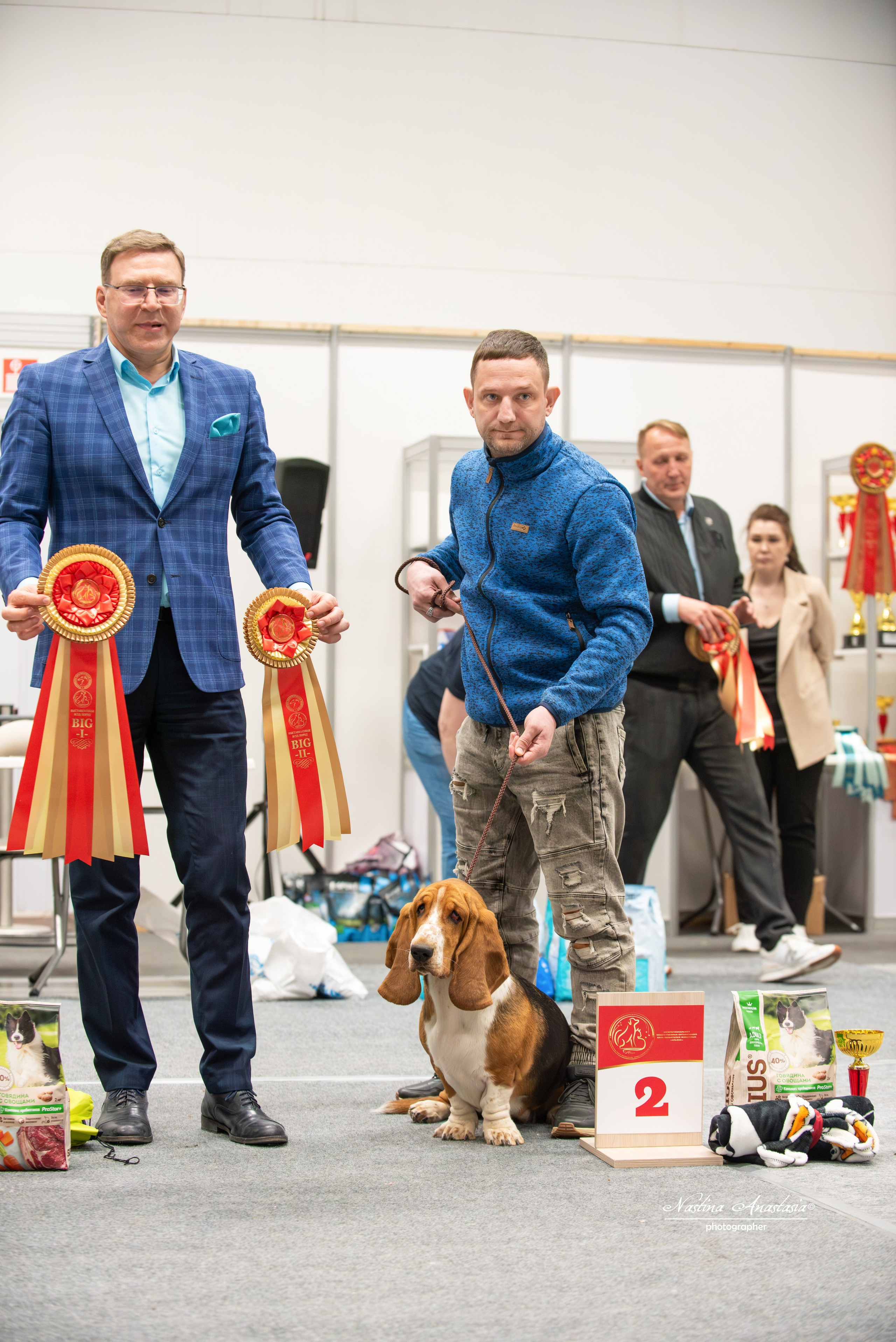 Выставки. Фотограф — Анималист