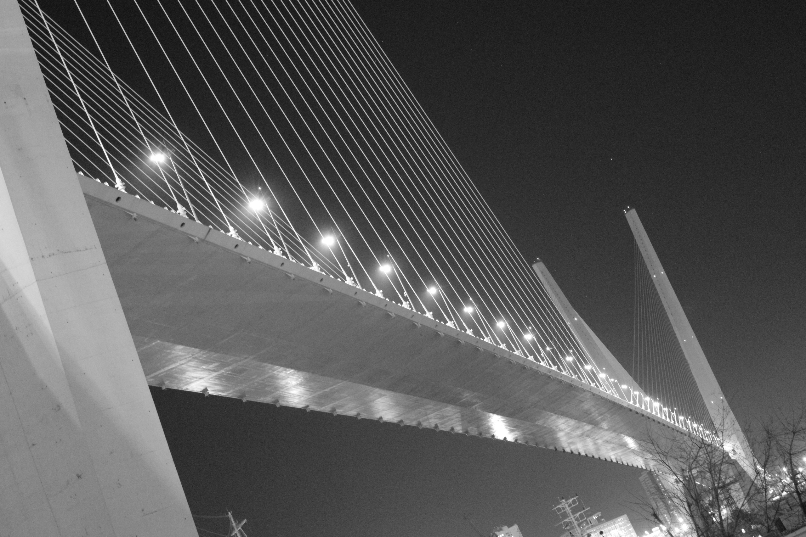 Монохром. Фотограф г. Владивосток