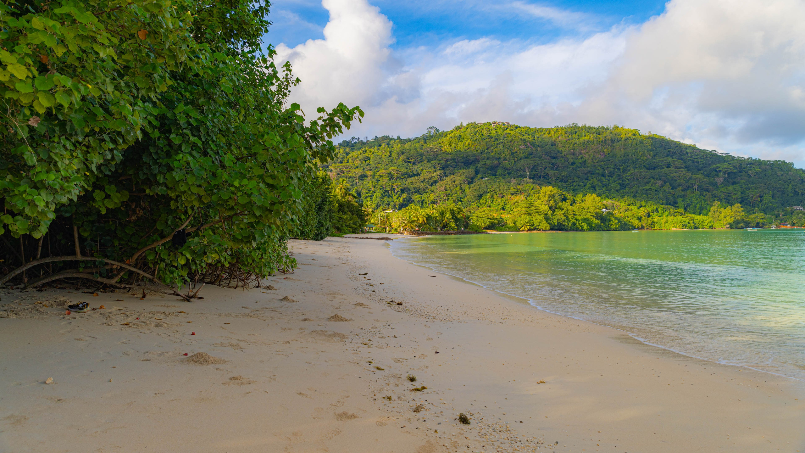 2025 07 Сейшелы (Маэ). Фотографии