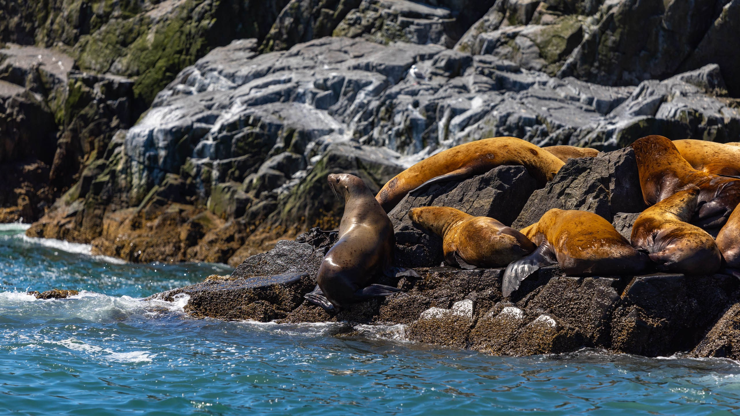 2023 07 Камчатка. Фотографии