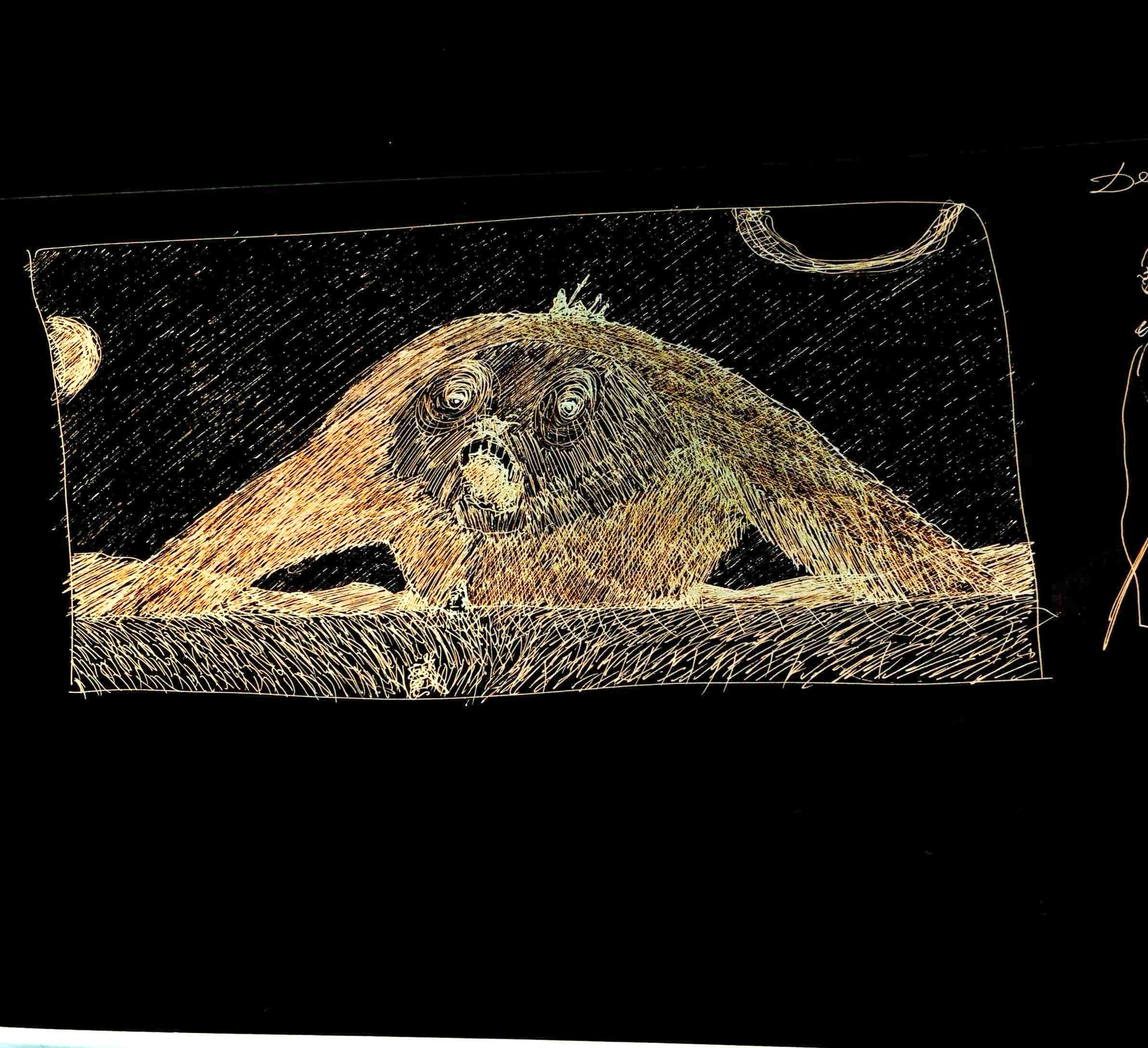 Storyboards & concepts