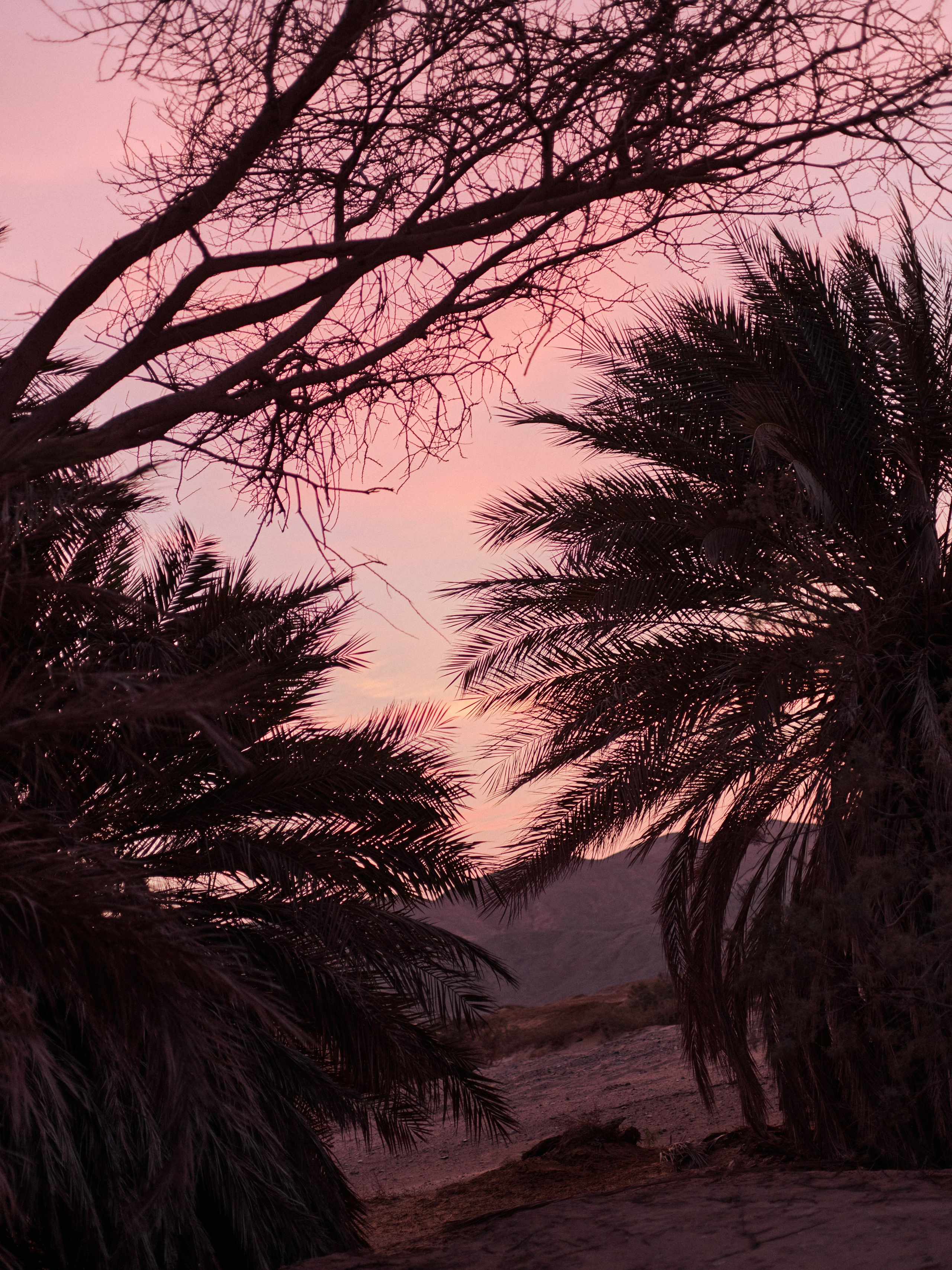 Другое 3. Jorgis Talè — photographer, kind person, teacher of arts and other mag