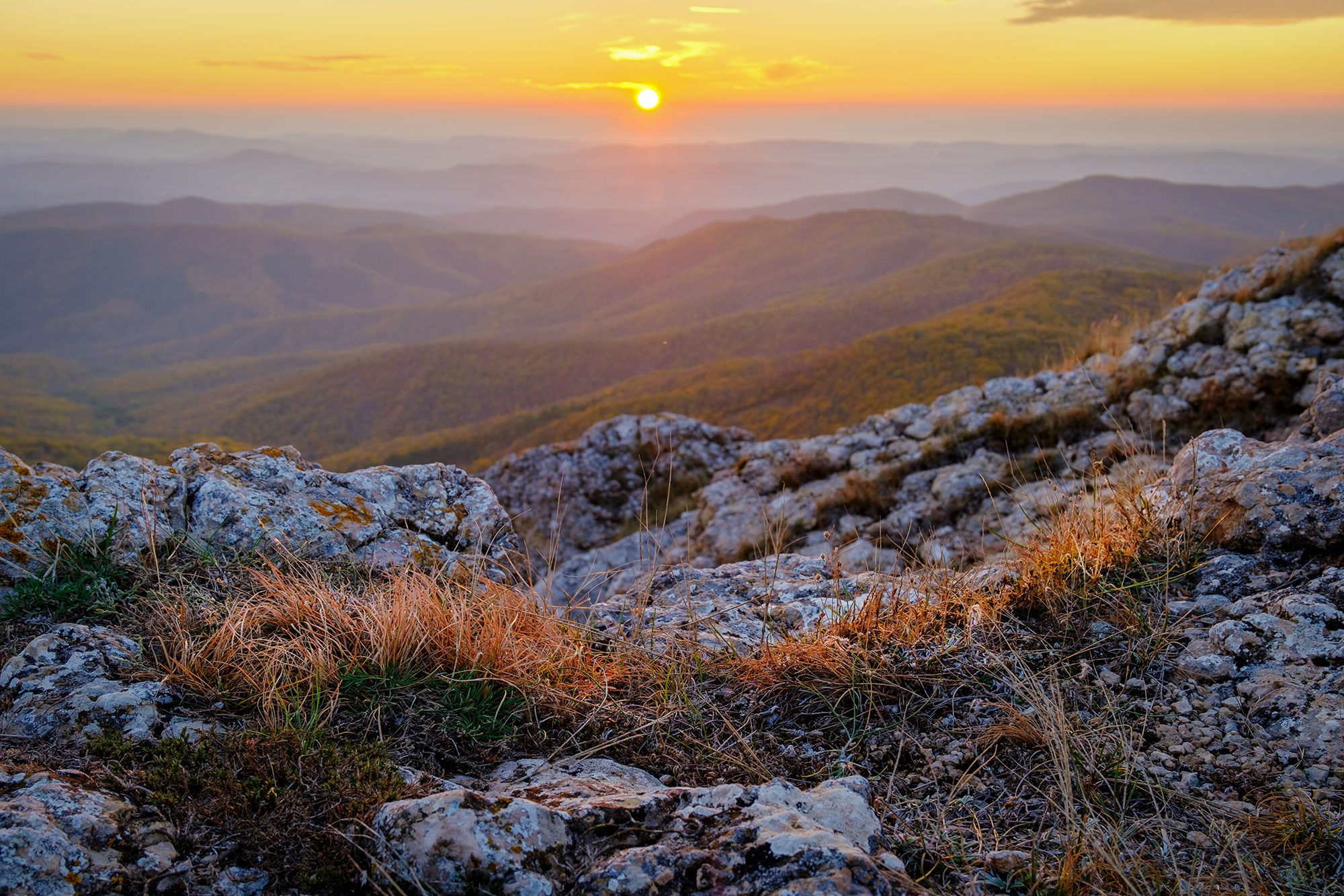 «Золотая осень в Крыму 2025»