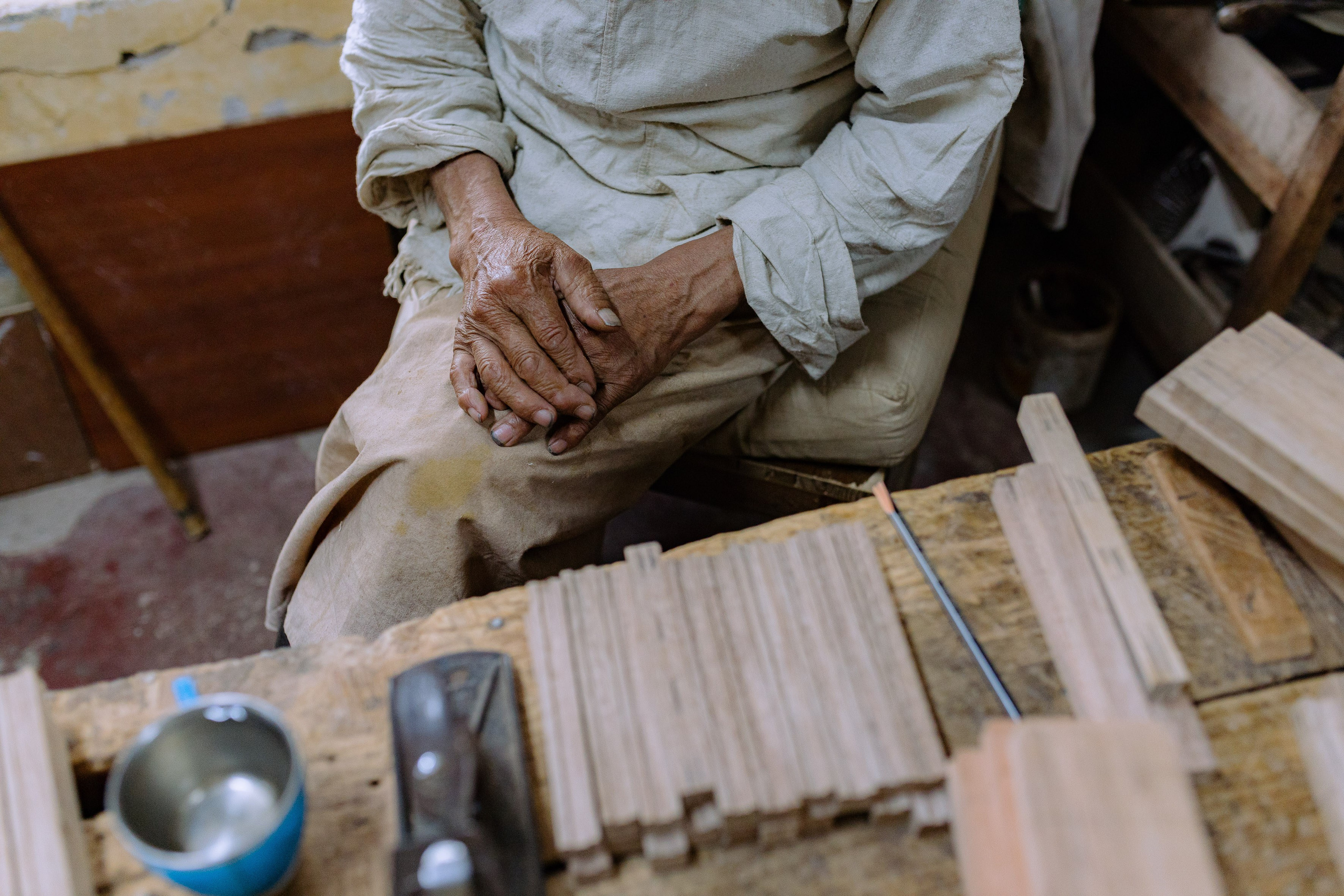 Экскурсия в резиденцию Далай Ламы с Косом и Лу. Фотограф Ольхон/ Индия, Регина