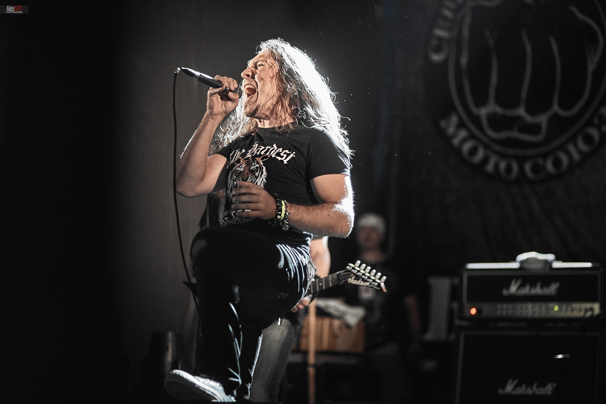 CONCERTS. AlexART | Film