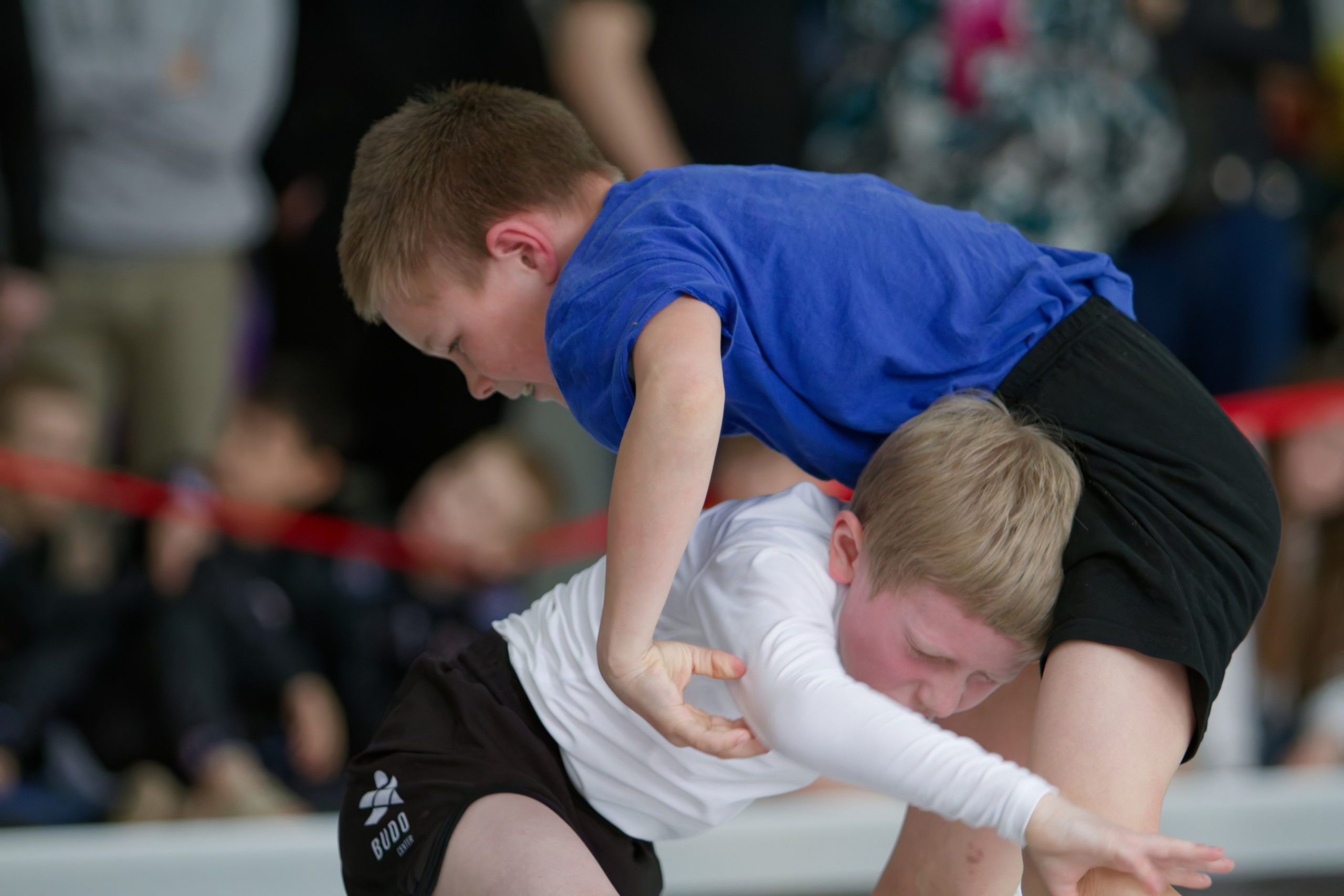 Борьба. Джиу-джитсу 26.04.2025. Репортажный и спортивный фотограф в г. Пермь Зильберг Павел