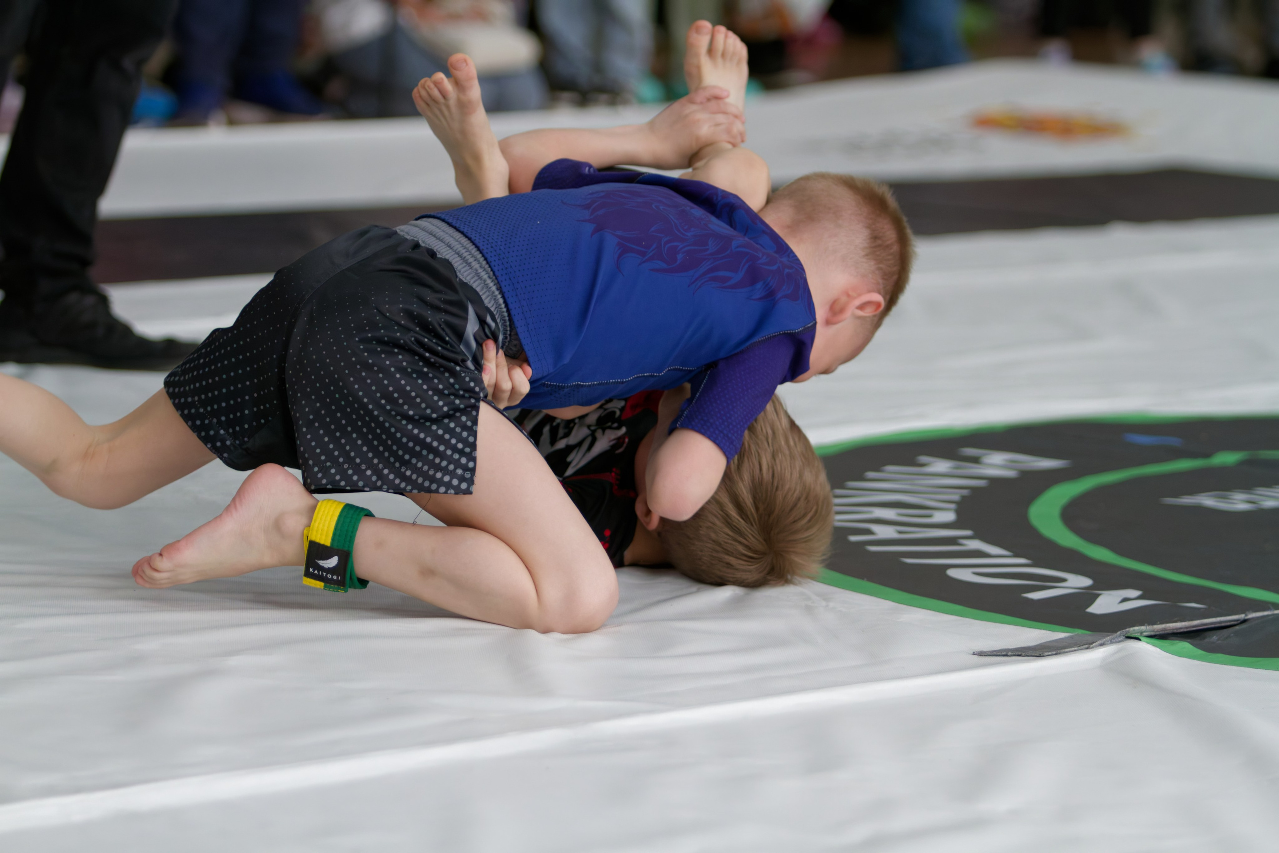 Борьба. Джиу-джитсу 26.04.2025. Репортажный и спортивный фотограф в г. Пермь Зильберг Павел