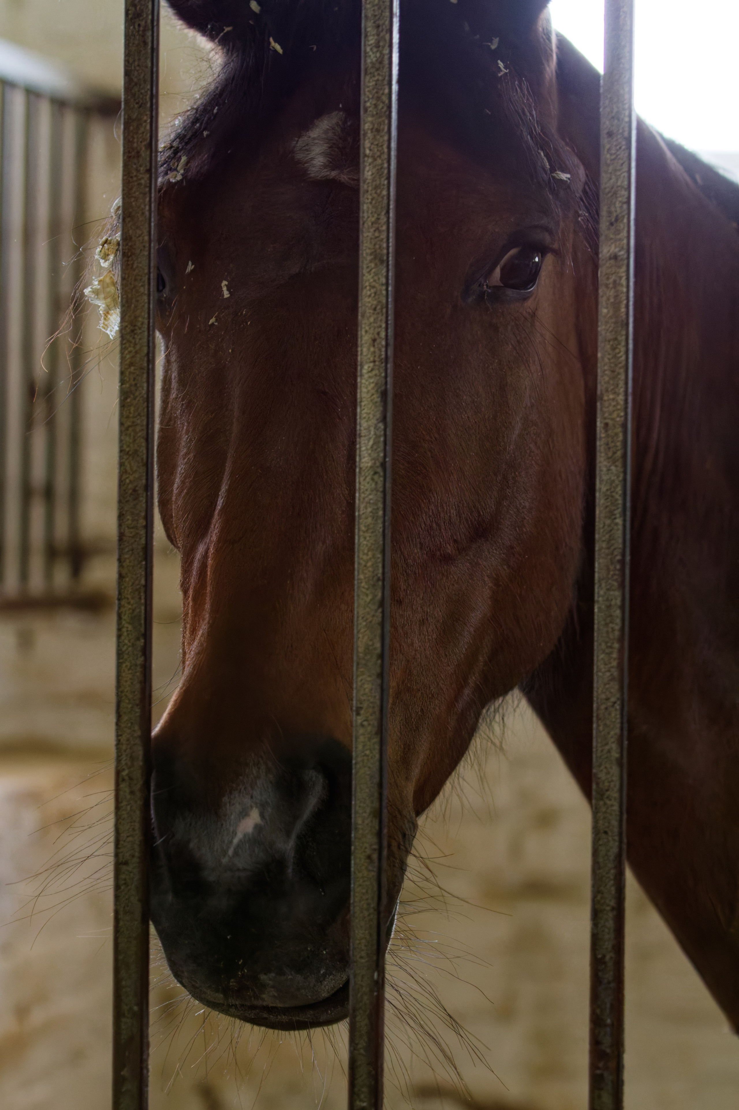 Родео59. Репортажный и спортивный фотограф в г. Пермь Зильберг Павел