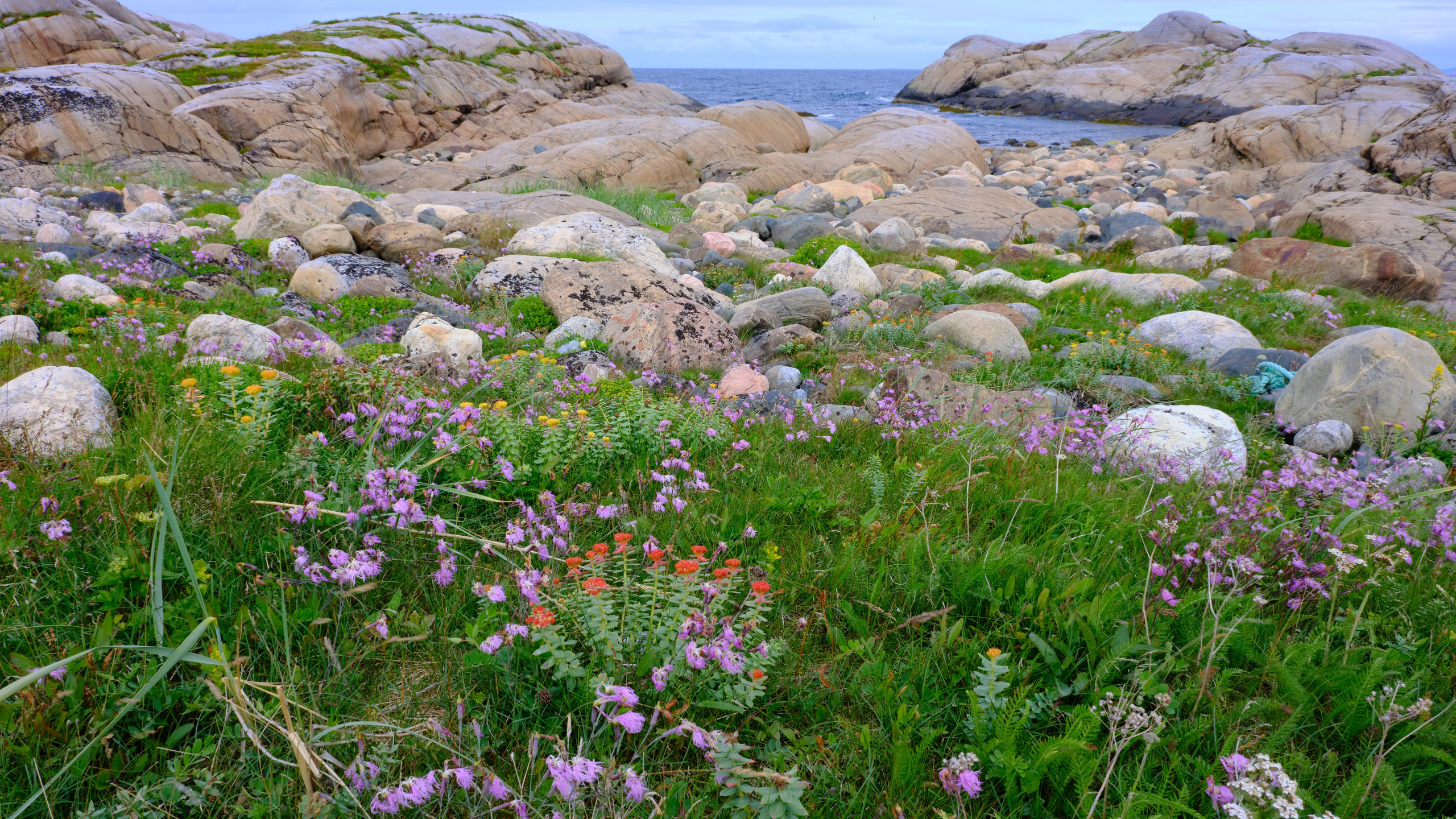 Баренцево море. Пейзажи Крайнего Севера. Баренцево море, Рыбачий, Средний, Немецкий