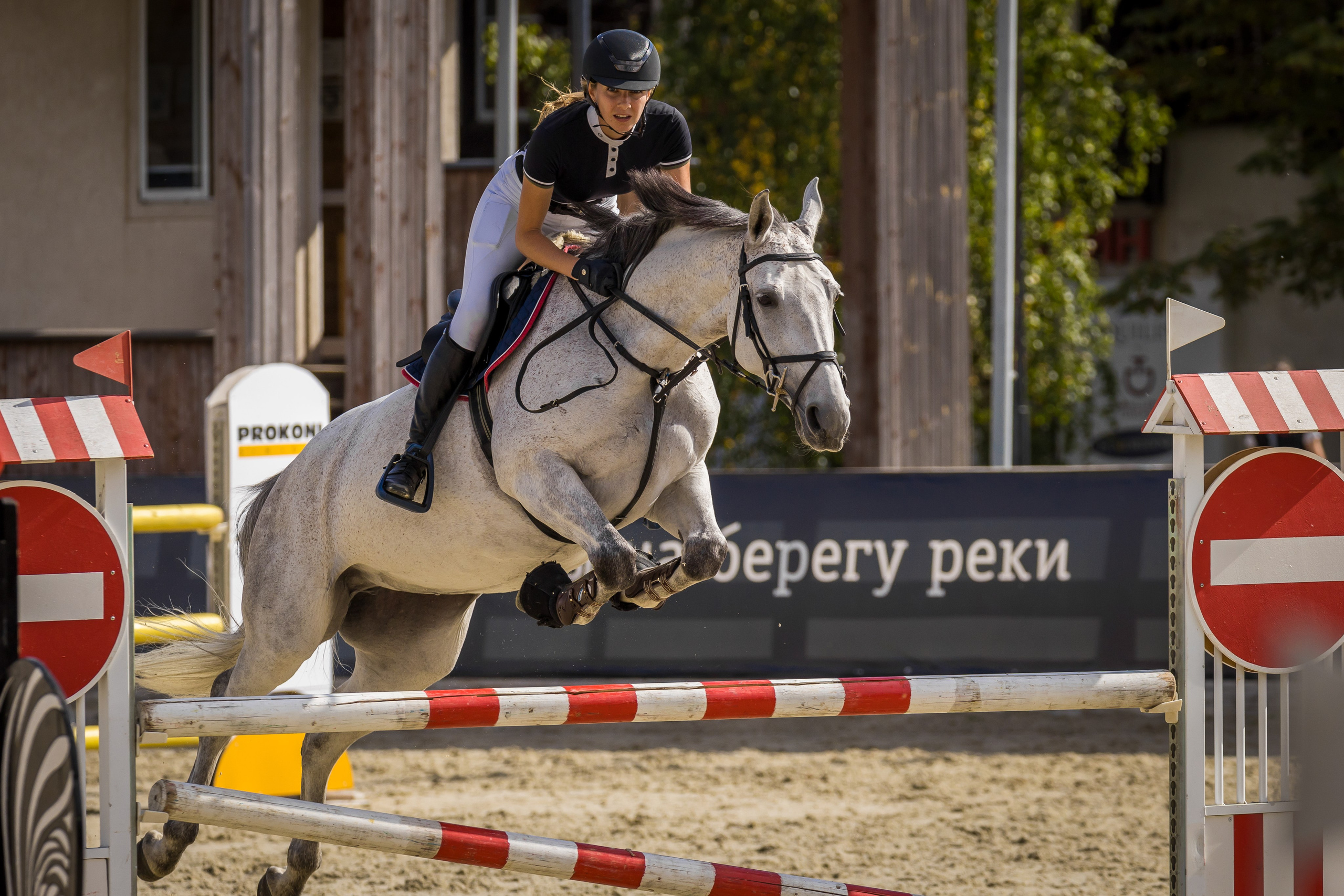 Конный спорт. Photomantis