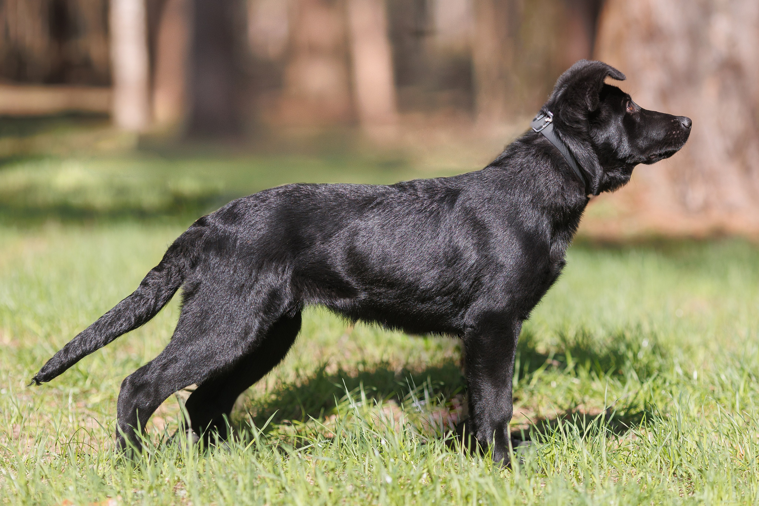 Репортажный фотограф Борис Геер