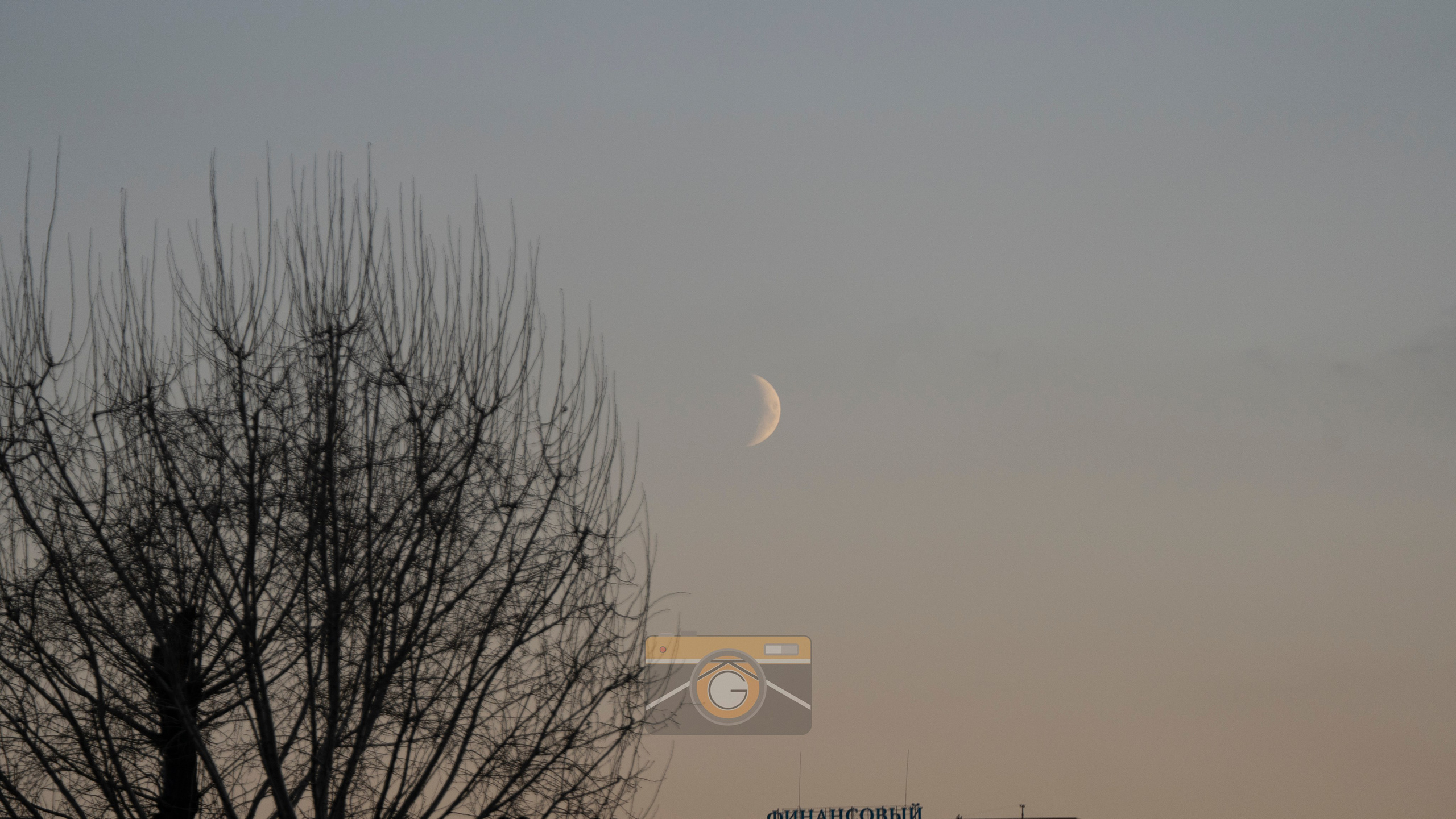 Стрит 2023-2024. KiPPER Gallery — Фотограф