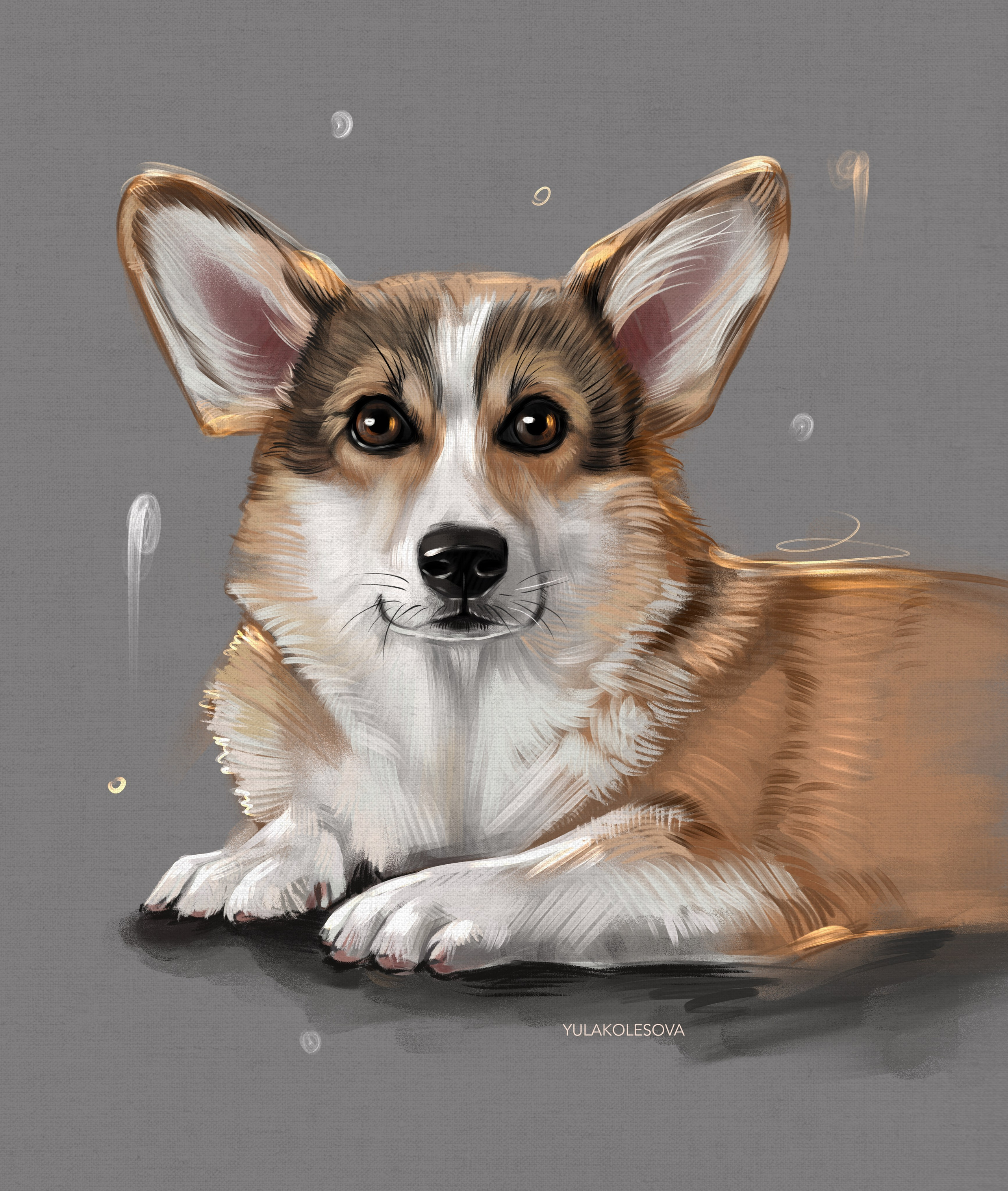 Цифровой портрет питомца. YULA KOLESOVA | Фотограф — Анималист | Художник | Тюмень