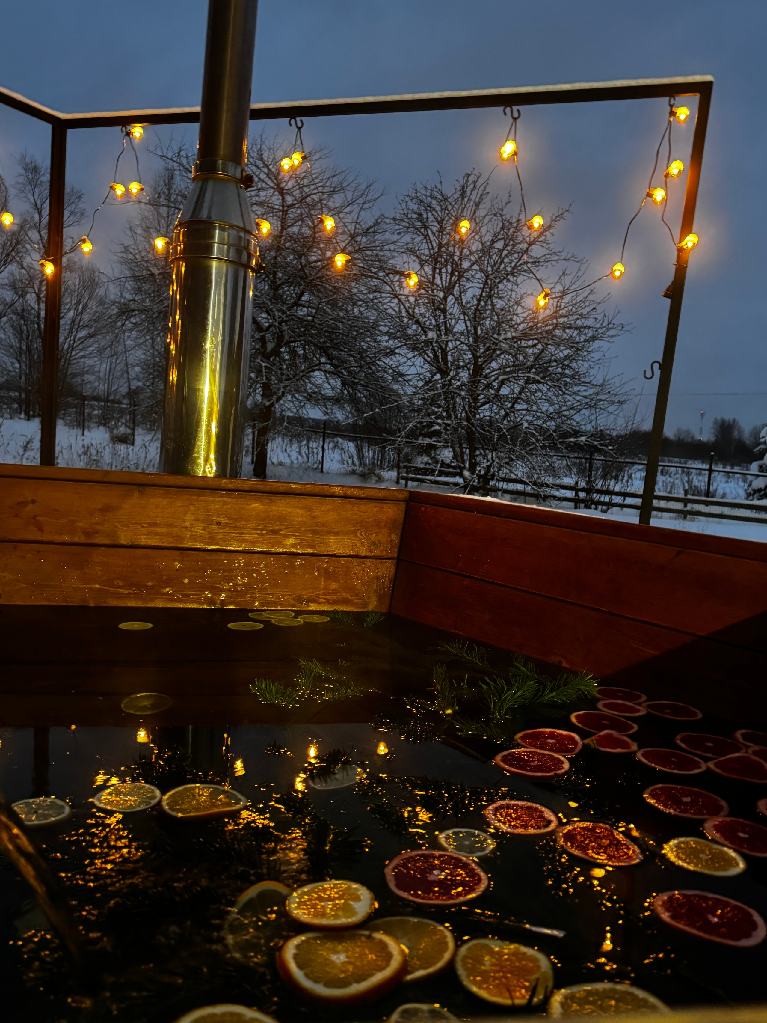 Чан. Организатор загородного отдыха в Переславле Валерия