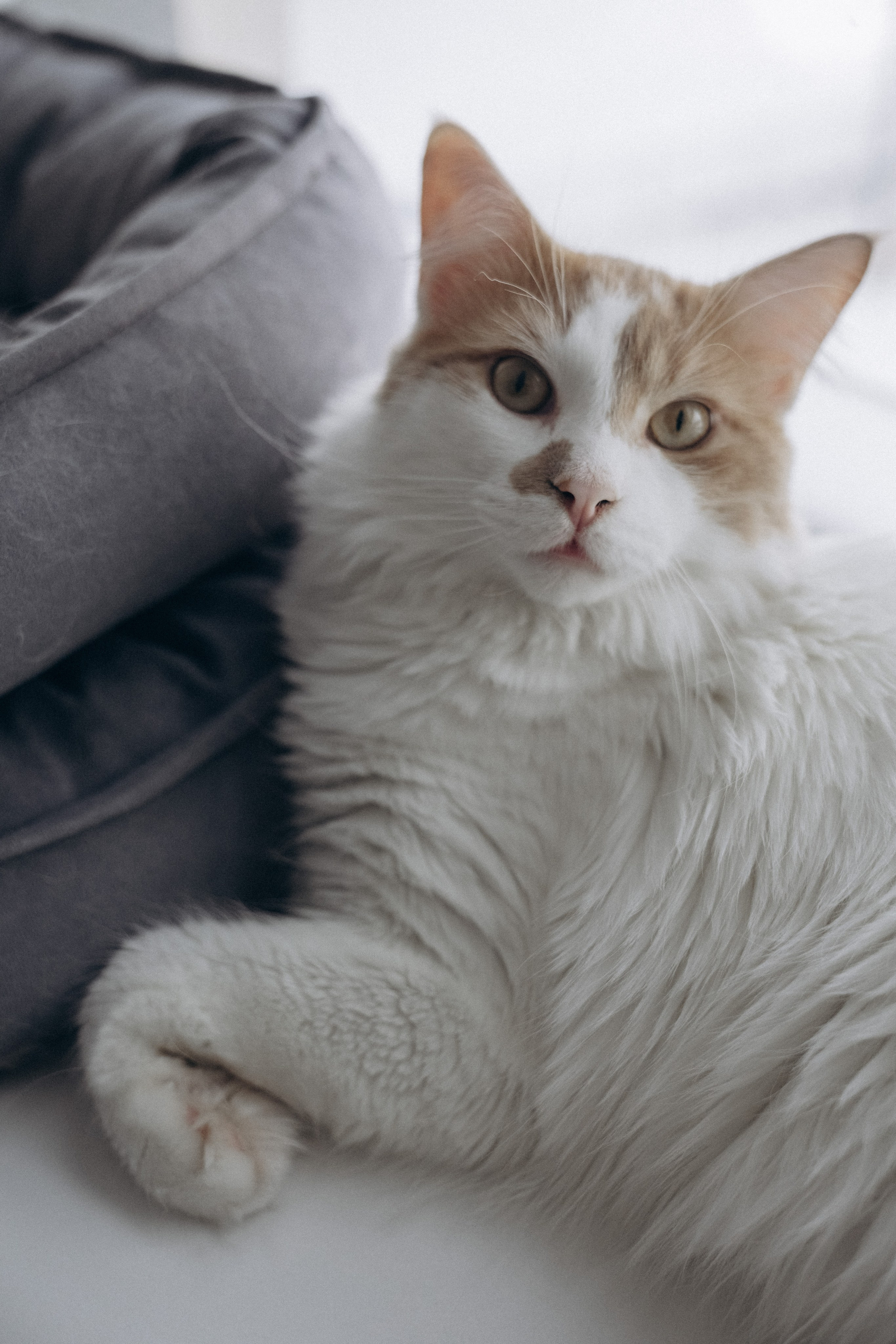 Домашняя lovestory. Семейный фотограф в Санкт-Петербурге Екатерина Васильева